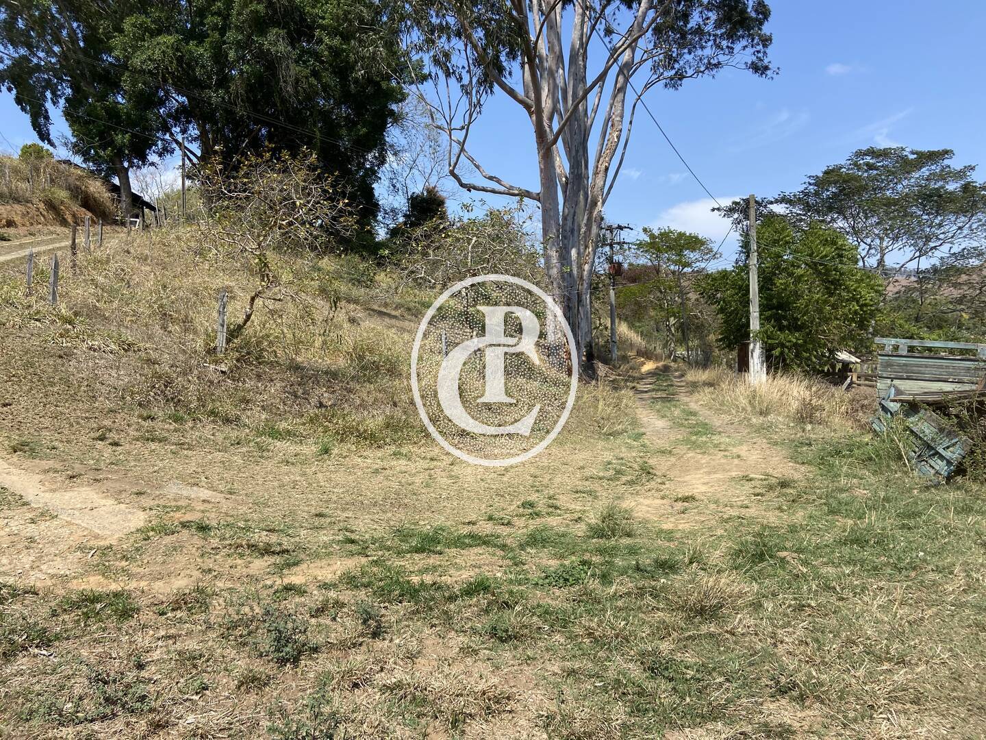 Fazenda-Sítio-Chácara, 63 hectares - Foto 54