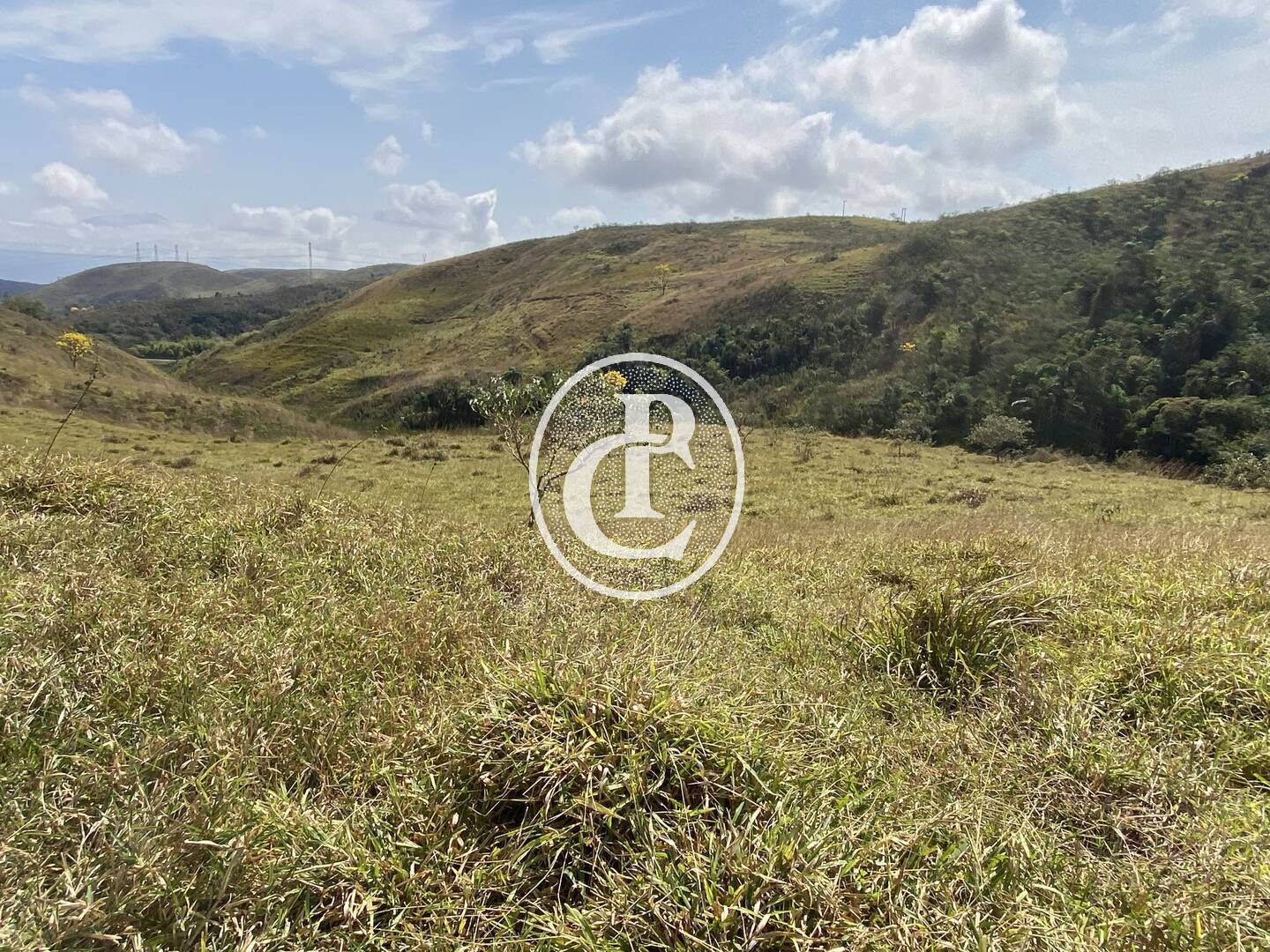 Fazenda-Sítio-Chácara, 63 hectares - Foto 55