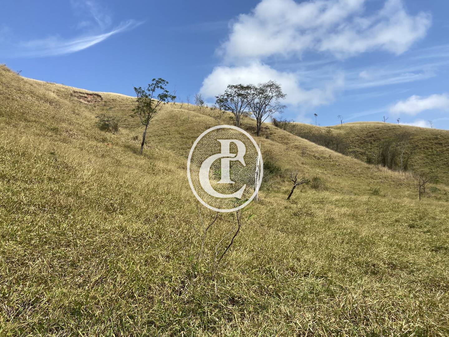 Fazenda-Sítio-Chácara, 63 hectares - Foto 56