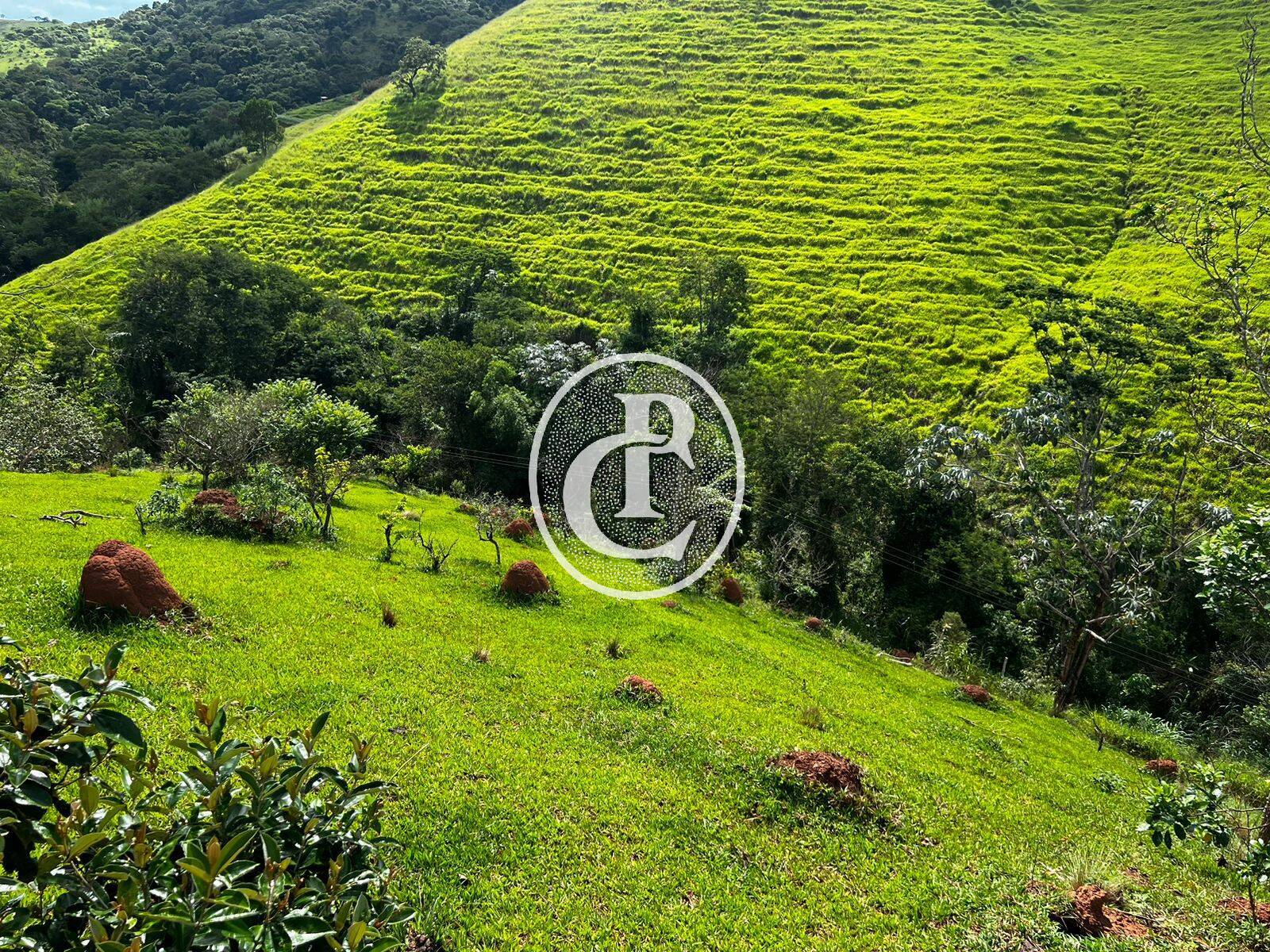 Terreno, 2 hectares - Foto 1