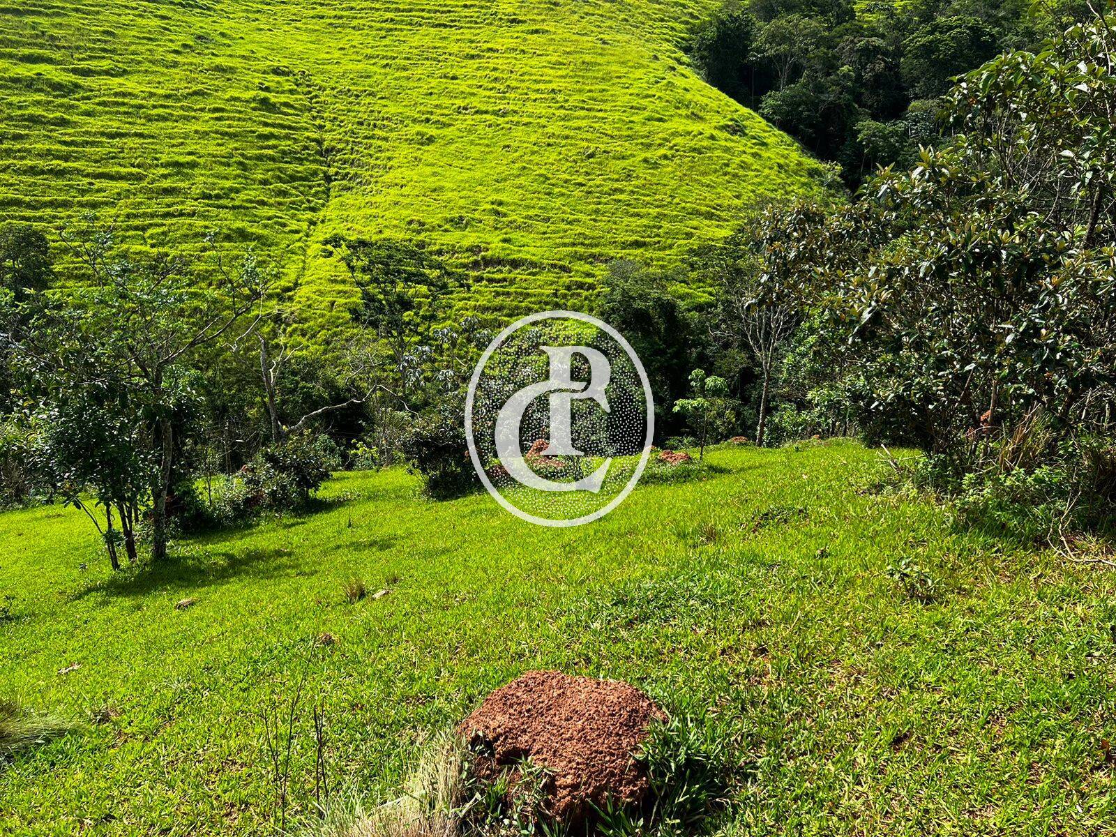 Terreno, 2 hectares - Foto 2