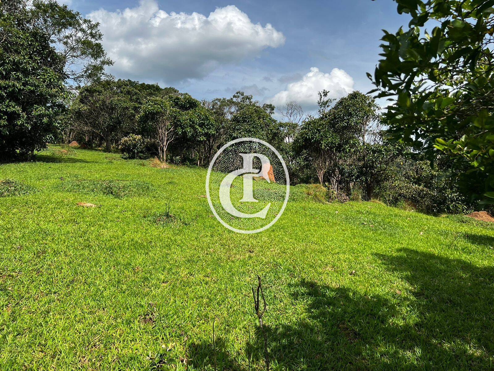 Terreno, 2 hectares - Foto 4