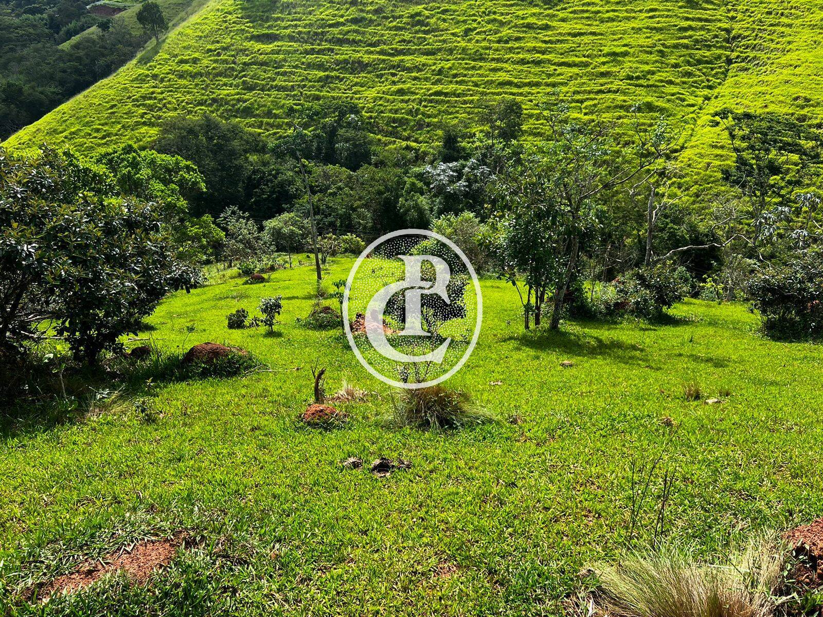 Terreno, 2 hectares - Foto 3