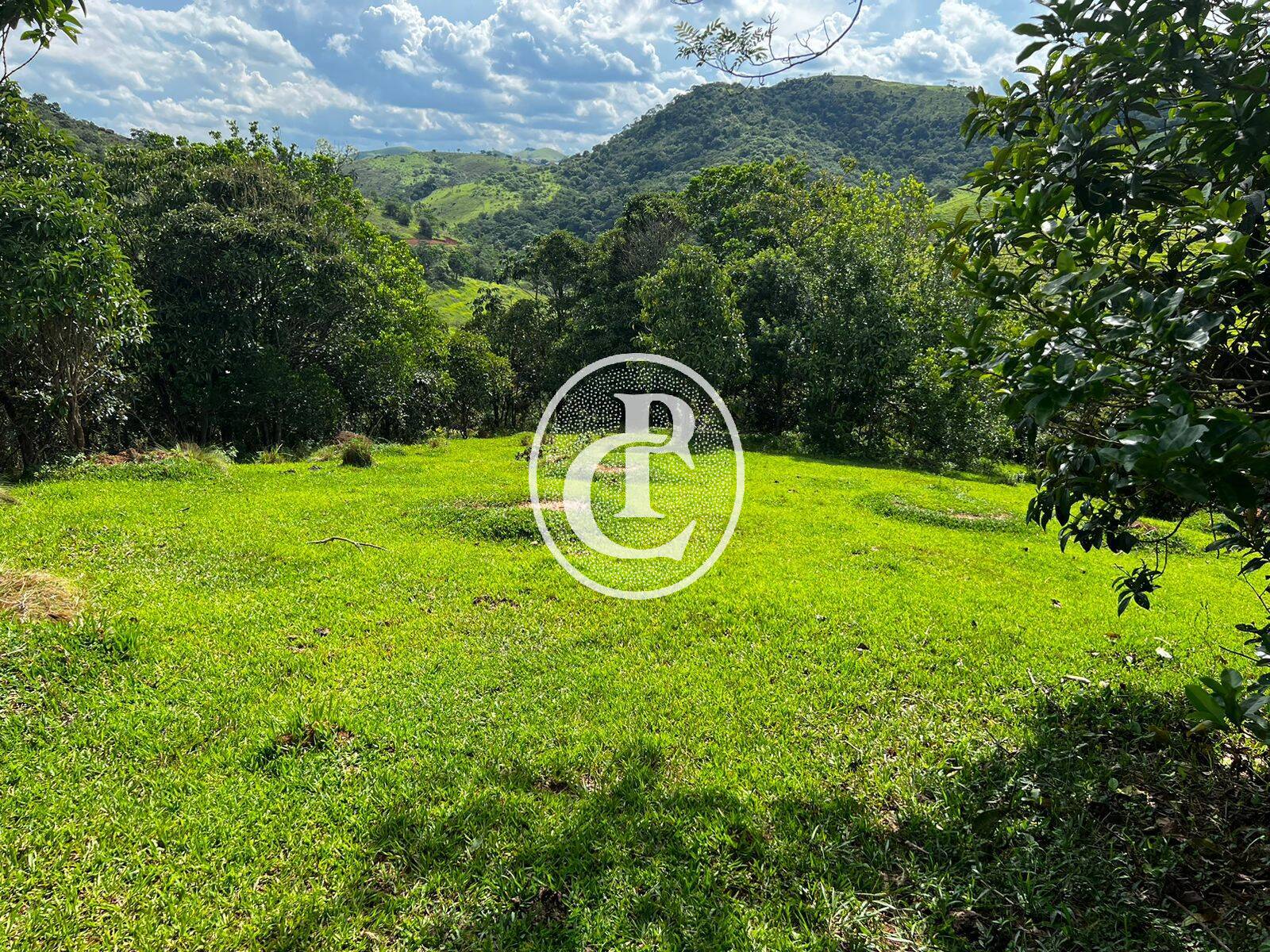 Terreno, 2 hectares - Foto 5