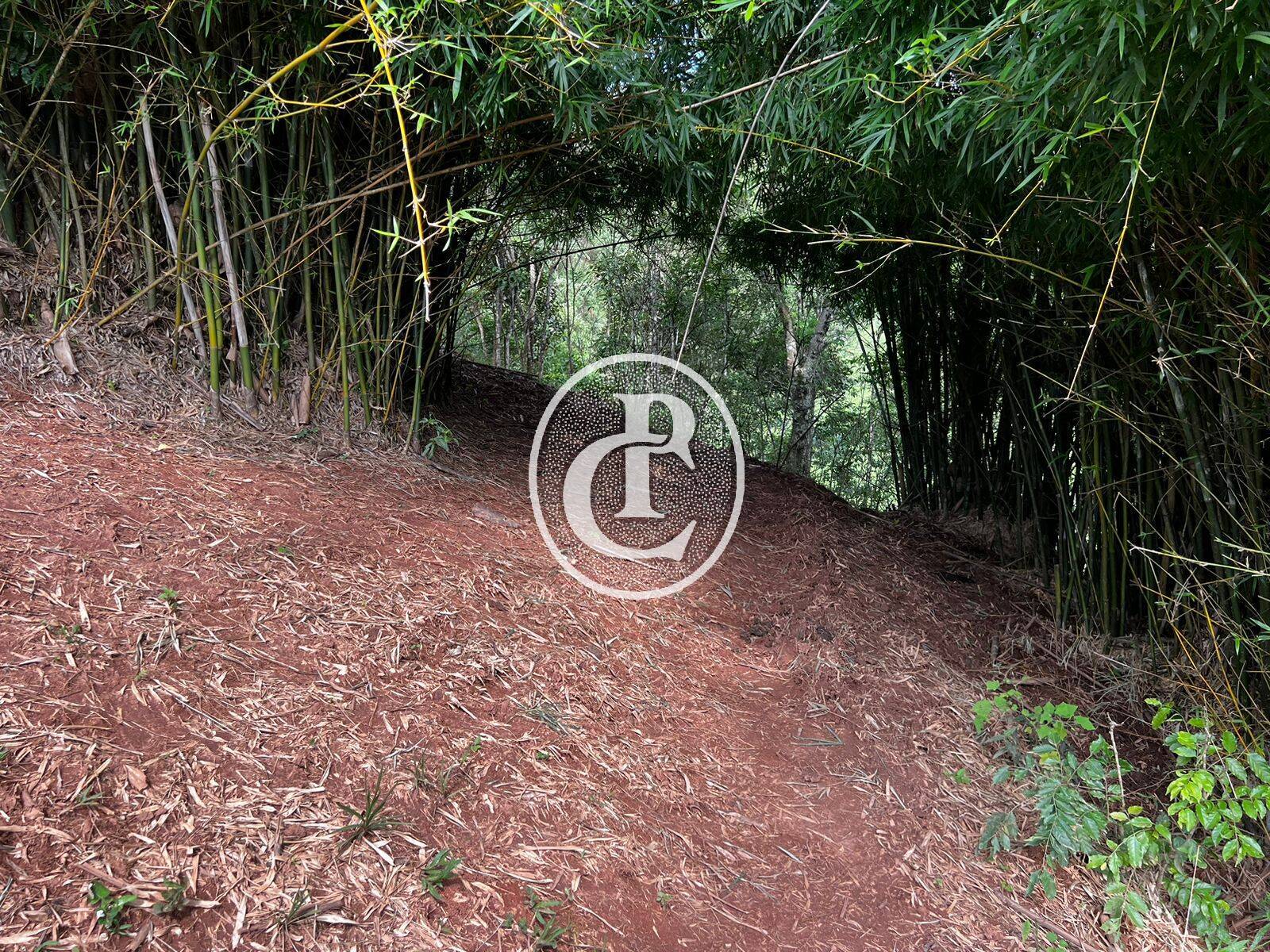 Terreno, 2 hectares - Foto 6