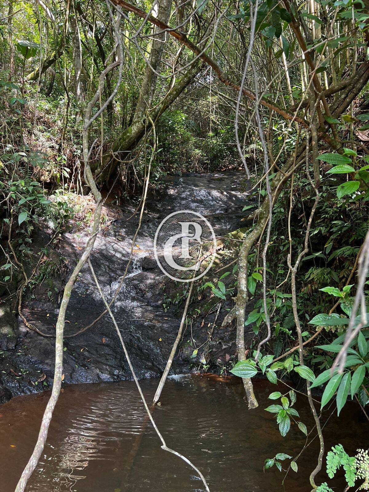 Terreno, 2 hectares - Foto 7