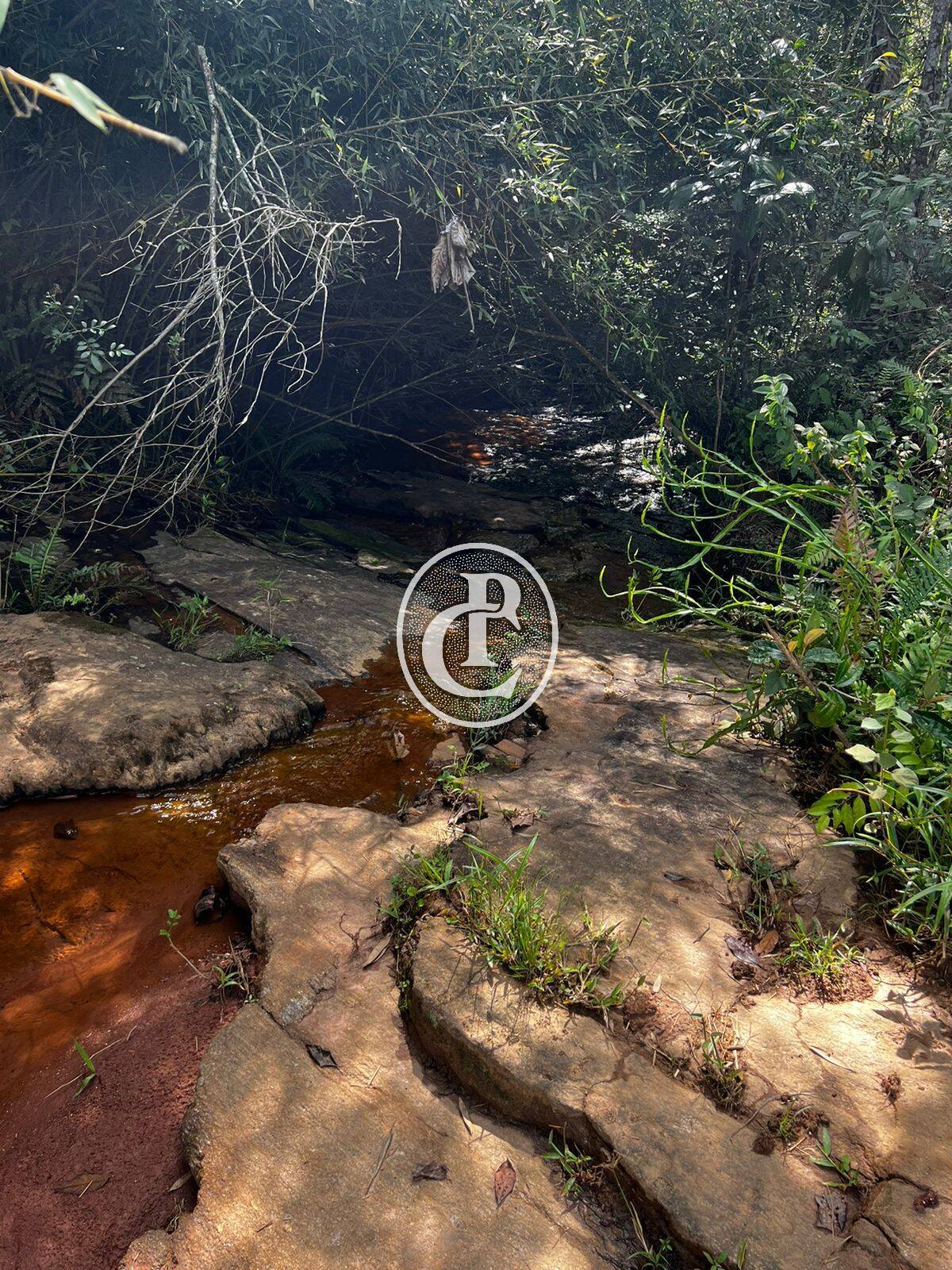 Terreno, 2 hectares - Foto 8