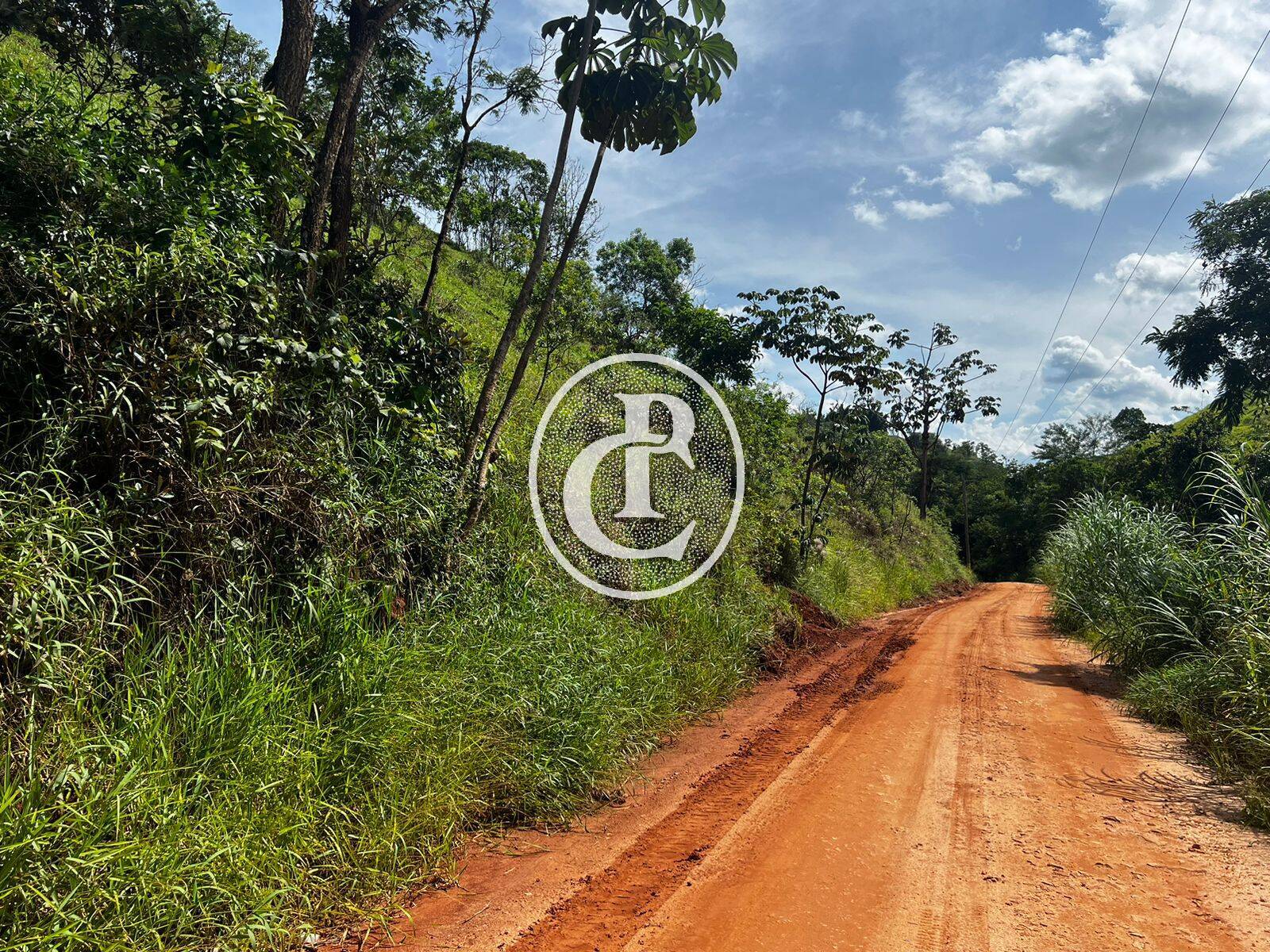 Terreno, 2 hectares - Foto 9