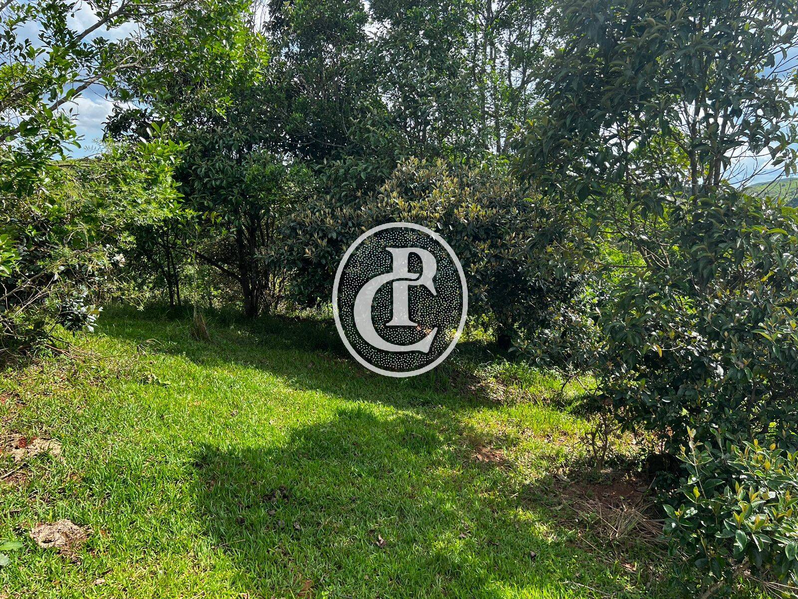 Terreno, 2 hectares - Foto 12