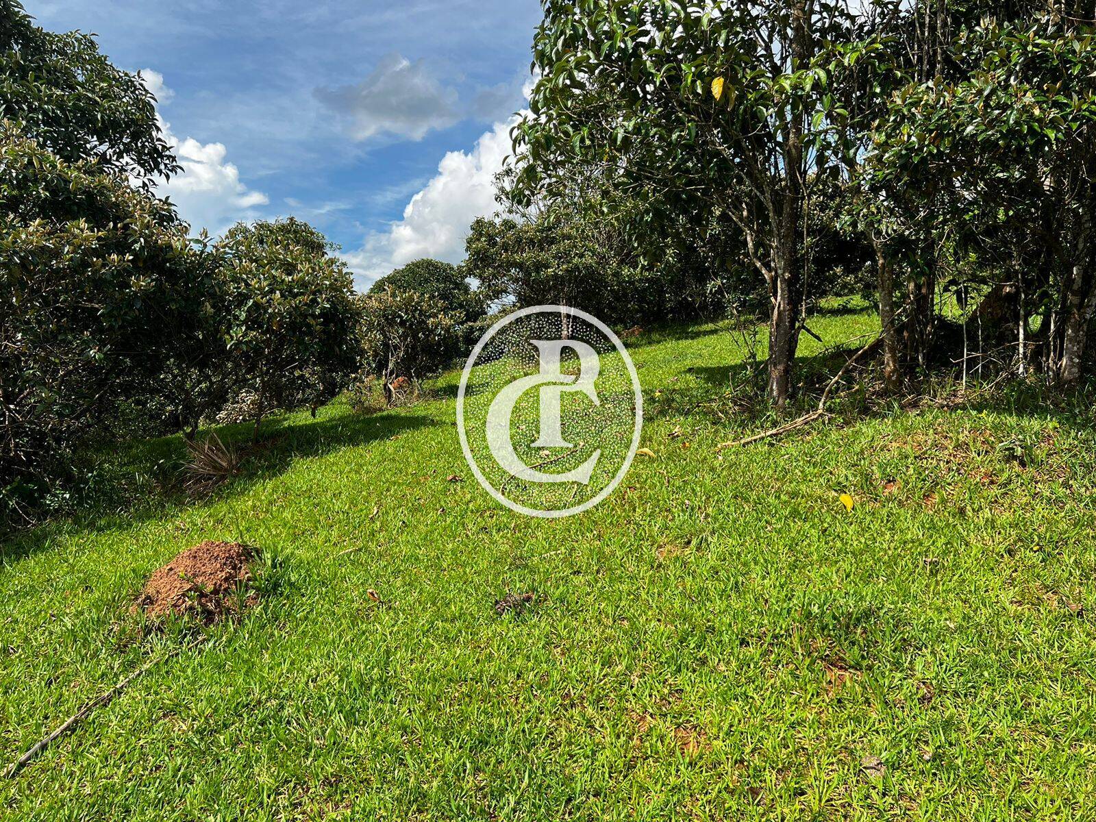 Terreno, 2 hectares - Foto 11