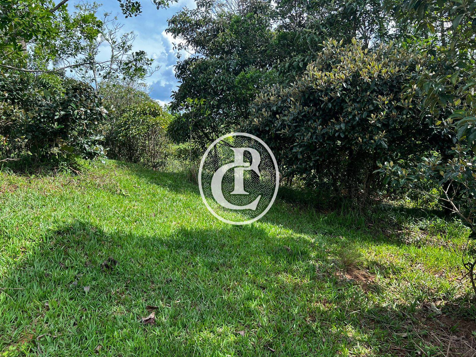 Terreno, 2 hectares - Foto 13