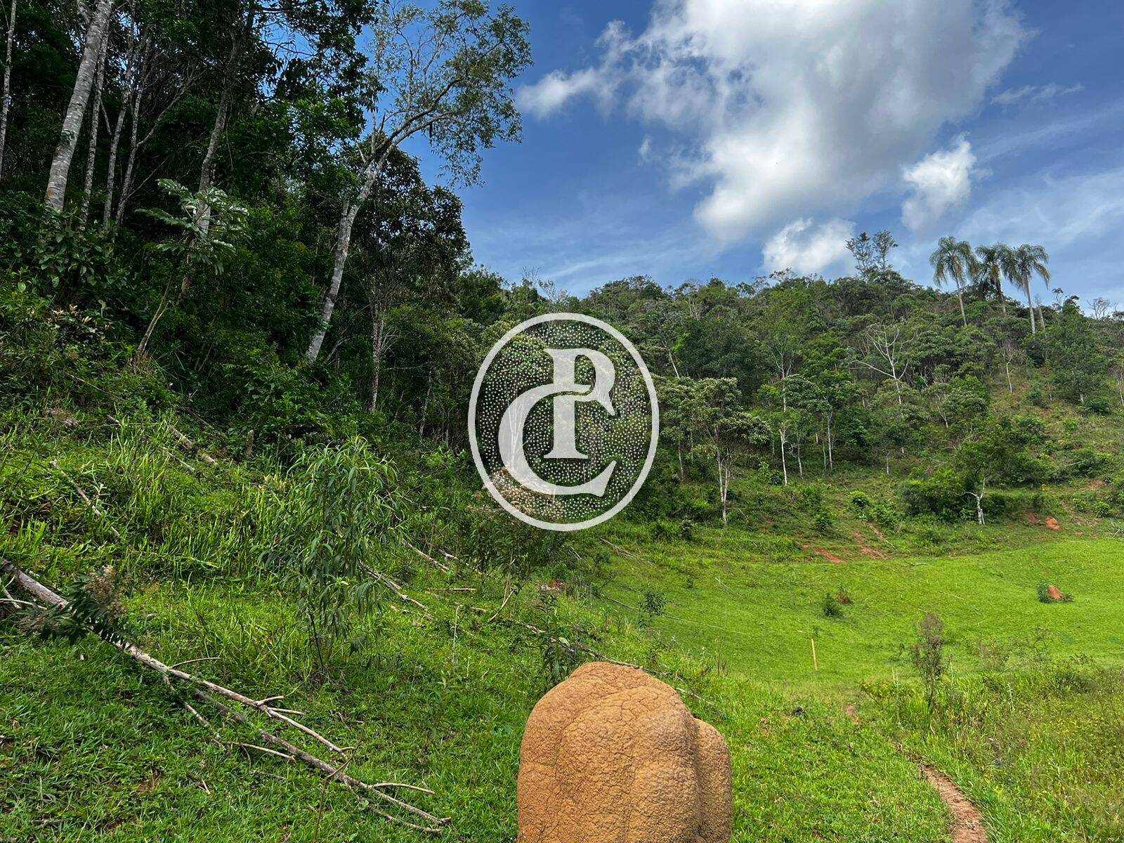 Terreno, 2 hectares - Foto 14