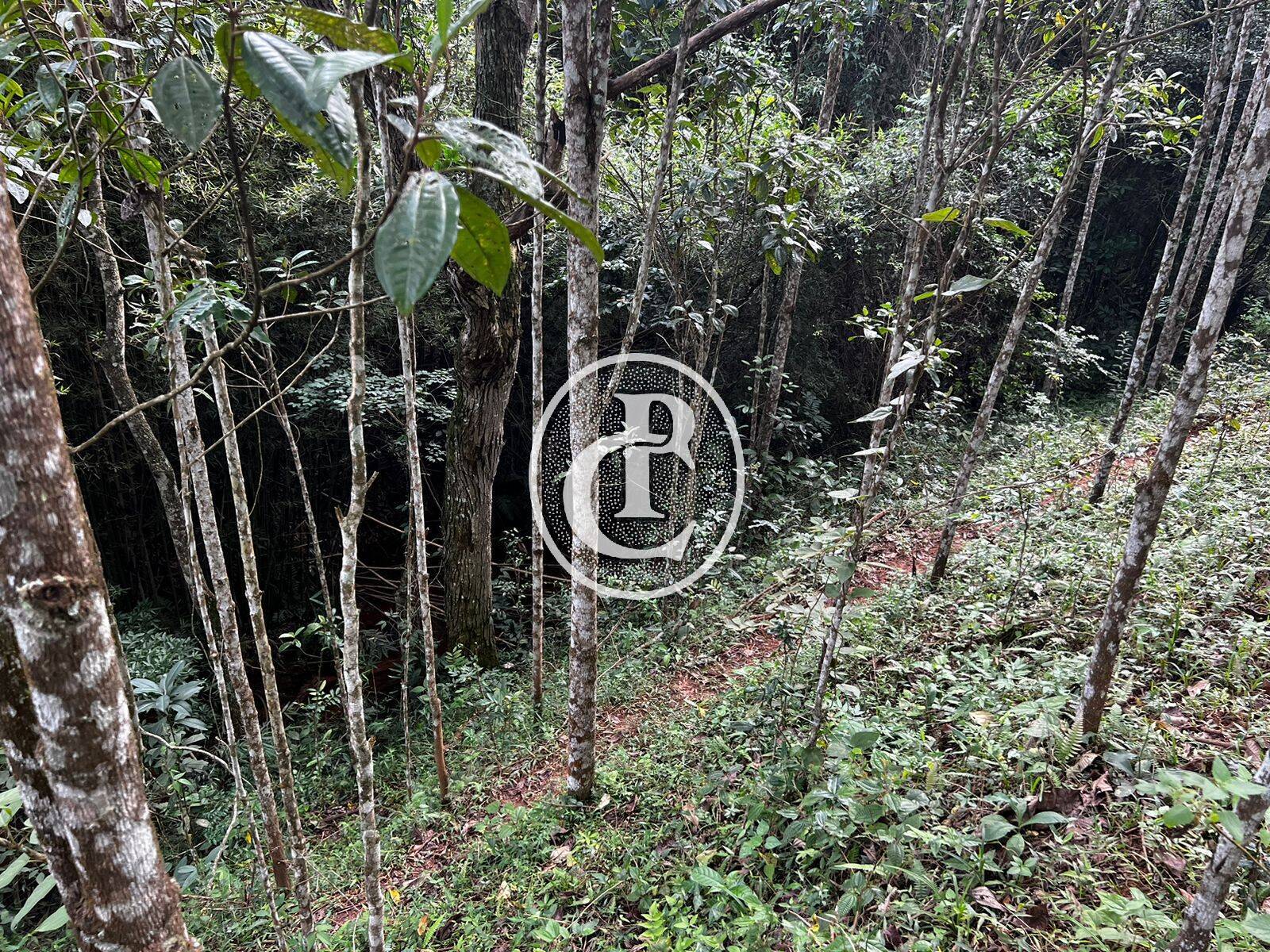 Terreno, 2 hectares - Foto 15