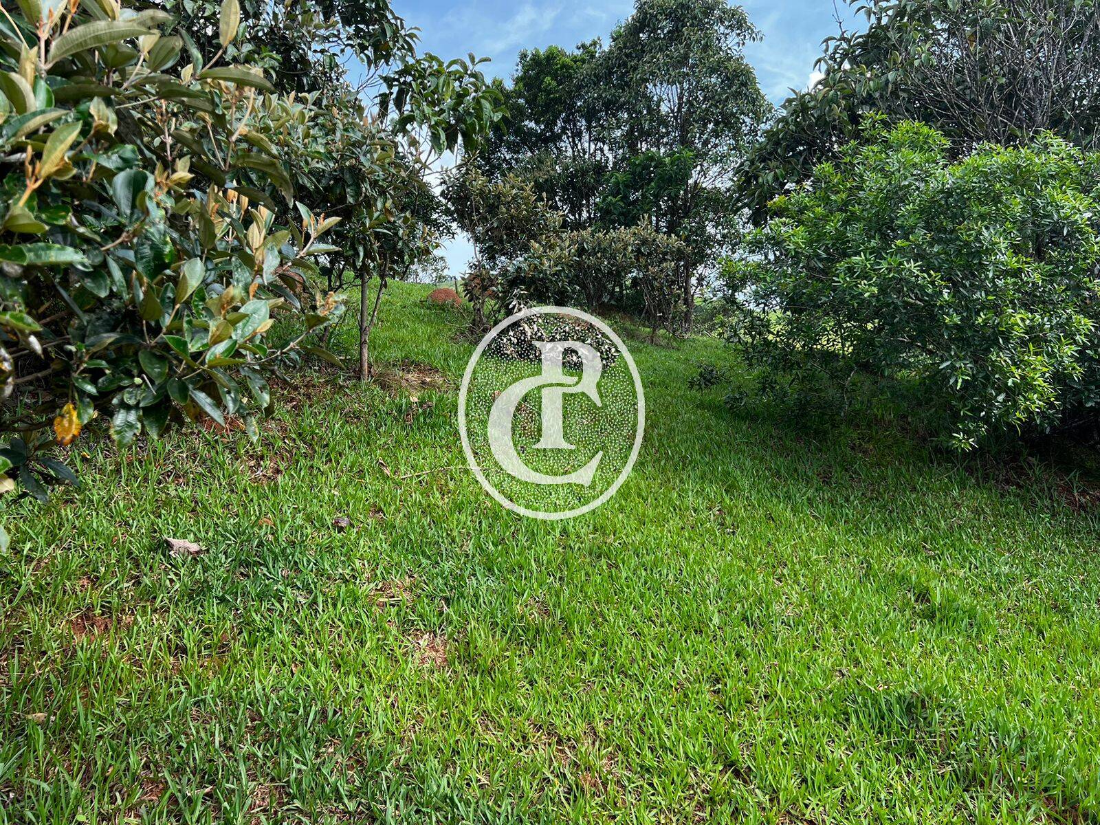 Terreno, 2 hectares - Foto 17