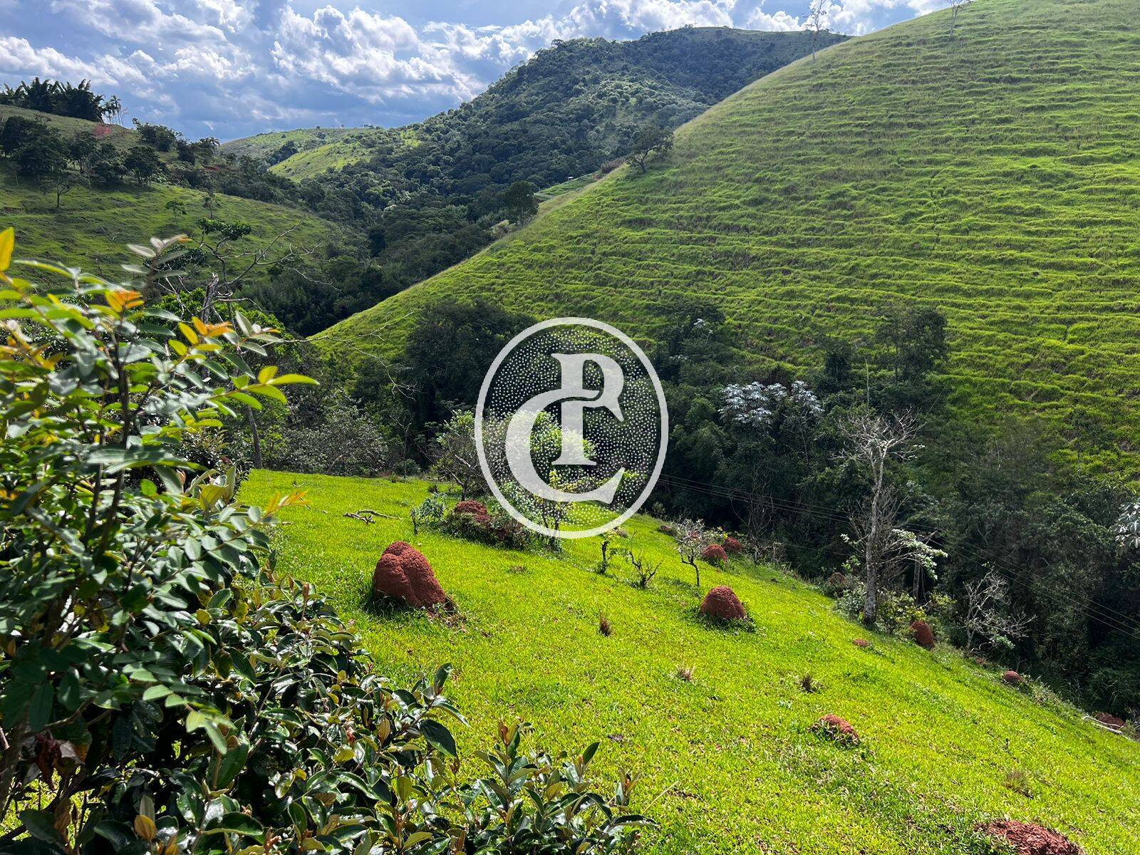 Terreno, 2 hectares - Foto 16