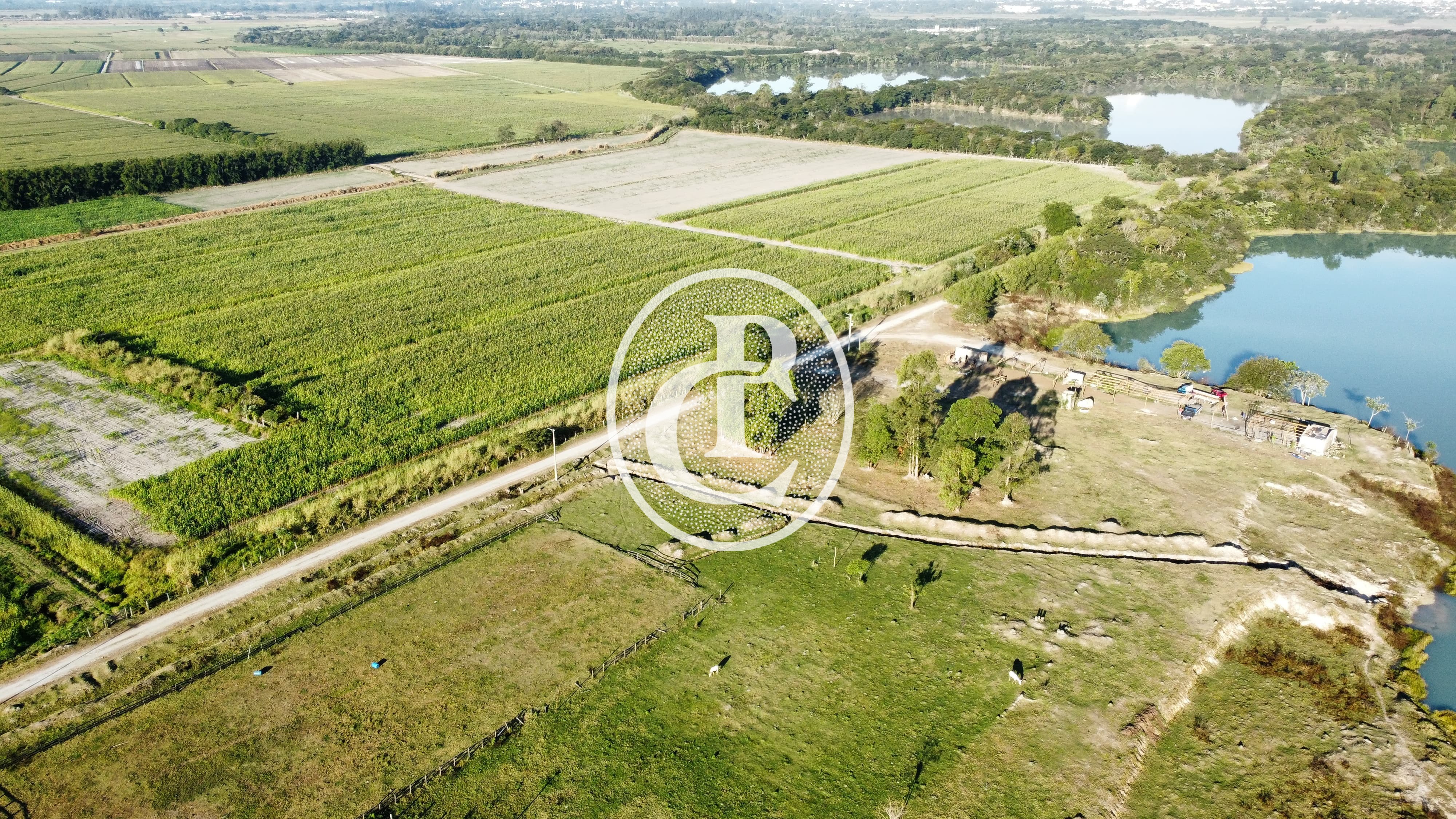 Fazenda, 273 hectares - Foto 1