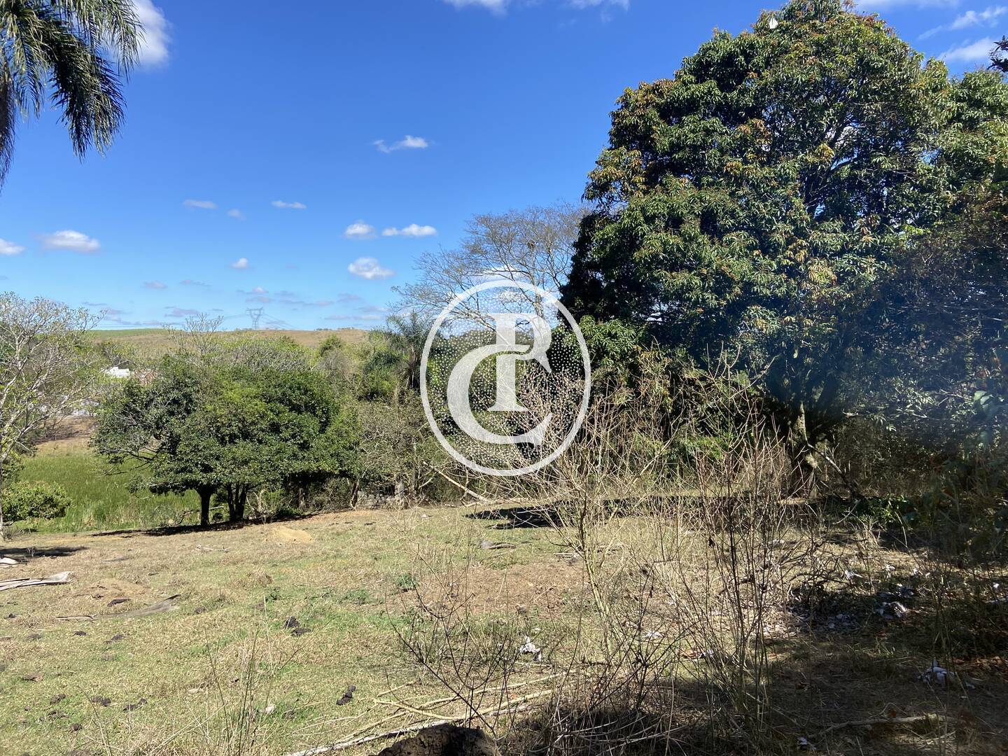 Chácara, 10 quartos, 4 hectares - Foto 8