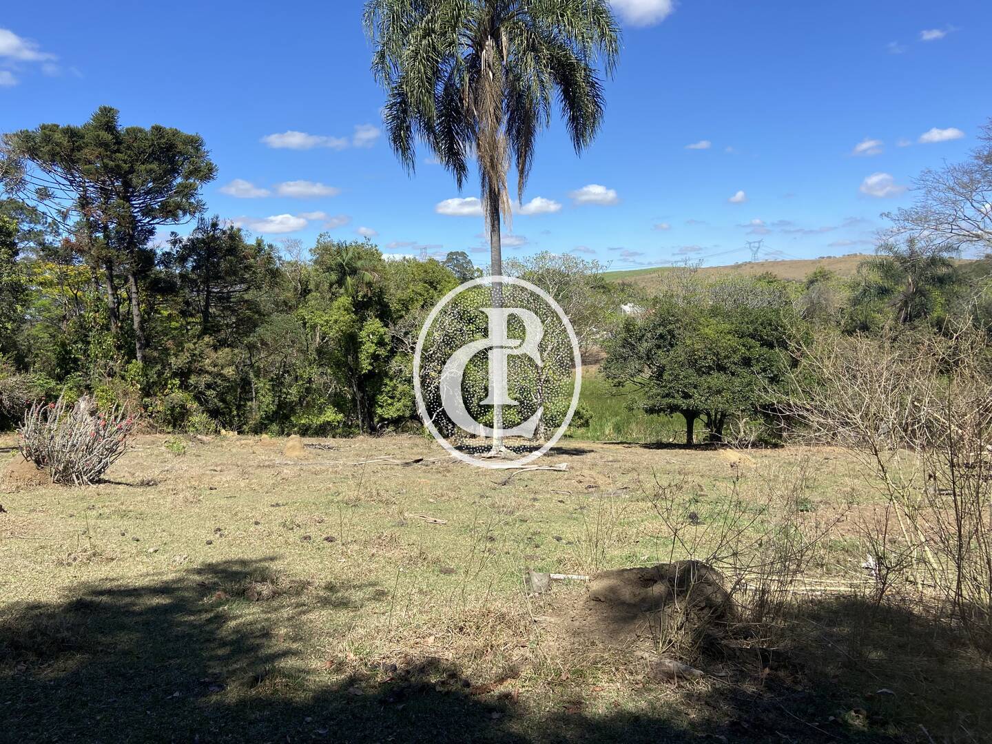 Chácara, 10 quartos, 4 hectares - Foto 9