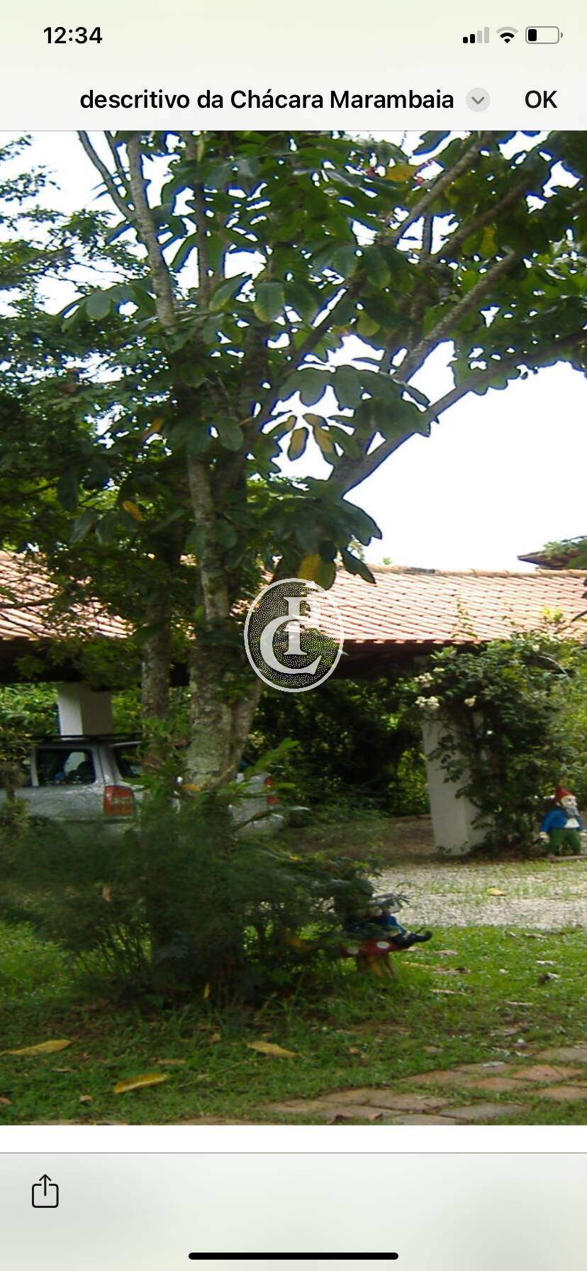 Chácara, 10 quartos, 4 hectares - Foto 13