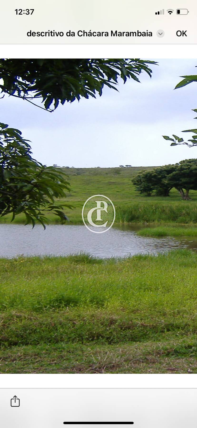 Chácara, 10 quartos, 4 hectares - Foto 15