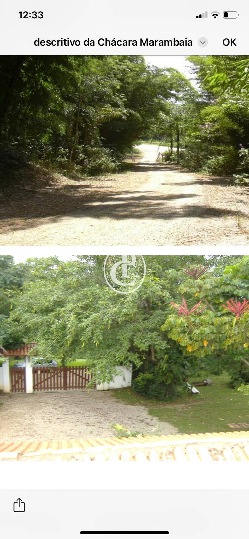 Chácara, 10 quartos, 4 hectares - Foto 19