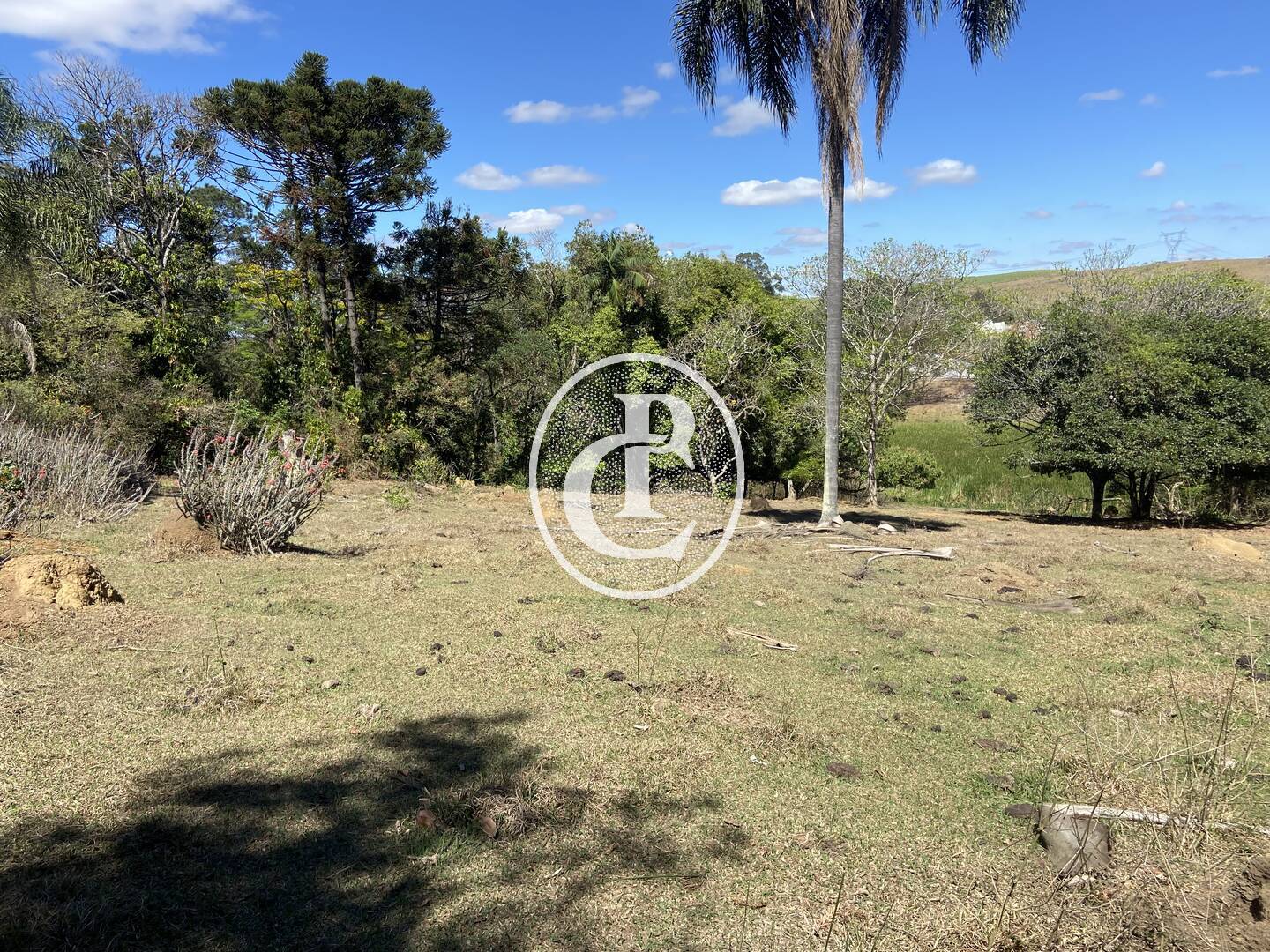 Chácara, 10 quartos, 4 hectares - Foto 28