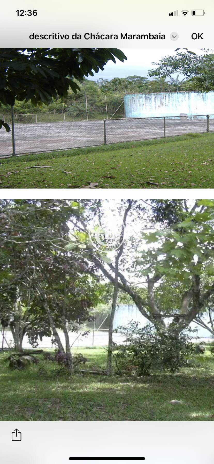 Chácara, 10 quartos, 4 hectares - Foto 29