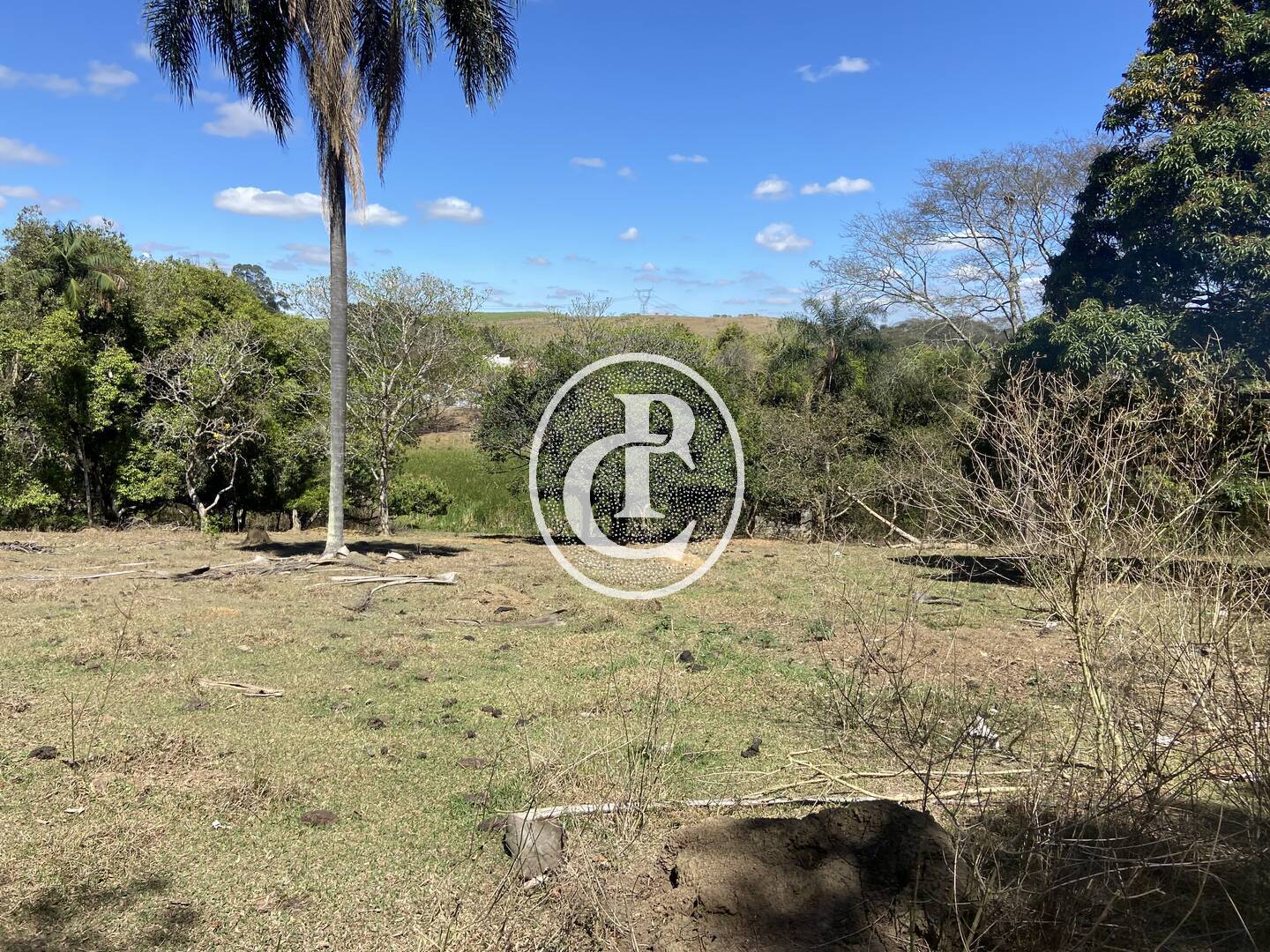 Chácara, 10 quartos, 4 hectares - Foto 33