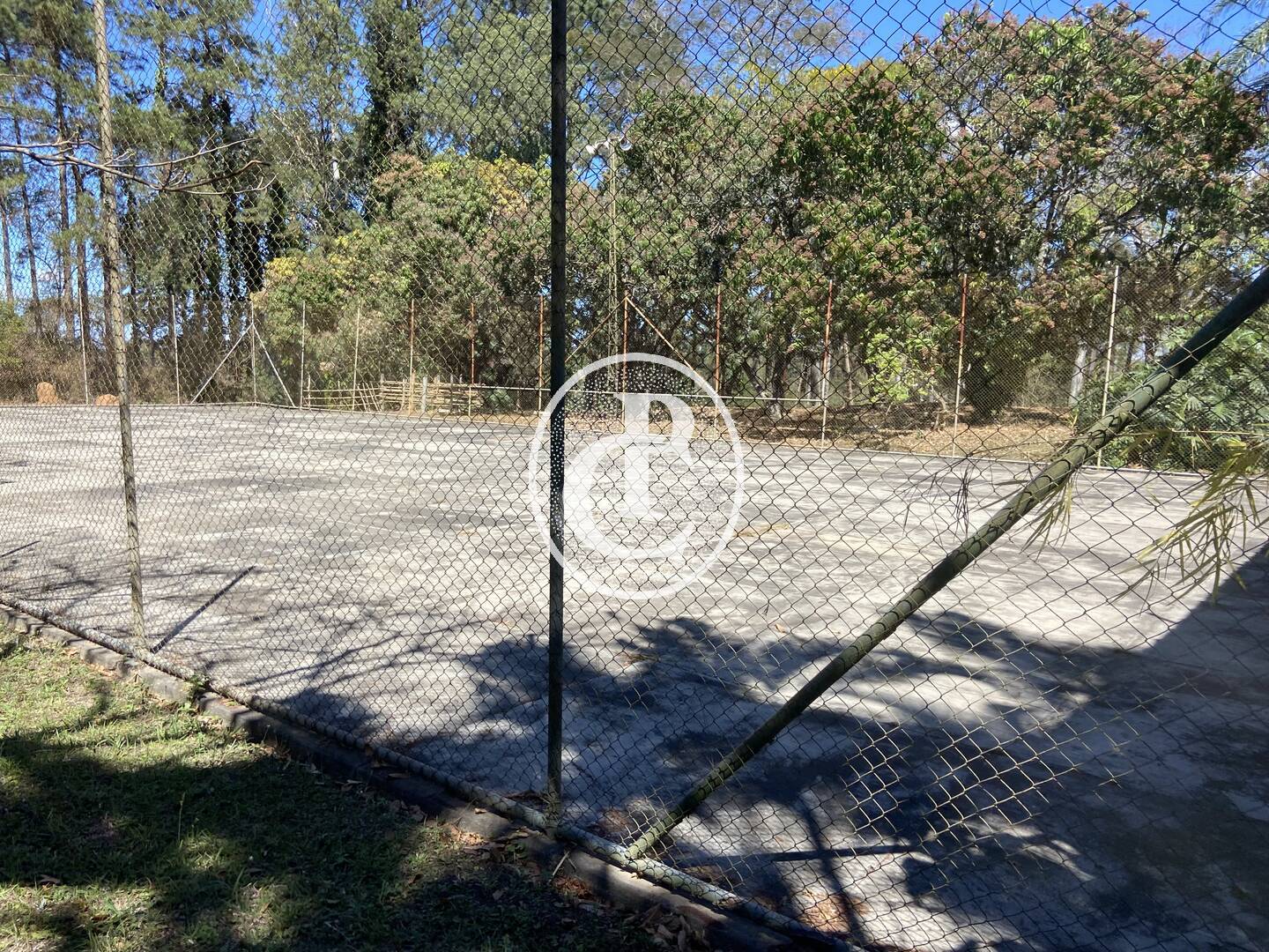 Chácara, 10 quartos, 4 hectares - Foto 40