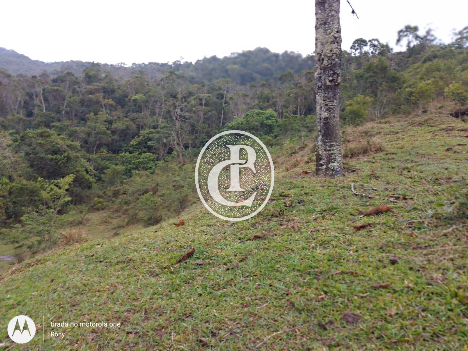 Fazenda-Sítio-Chácara, 73 hectares - Foto 3