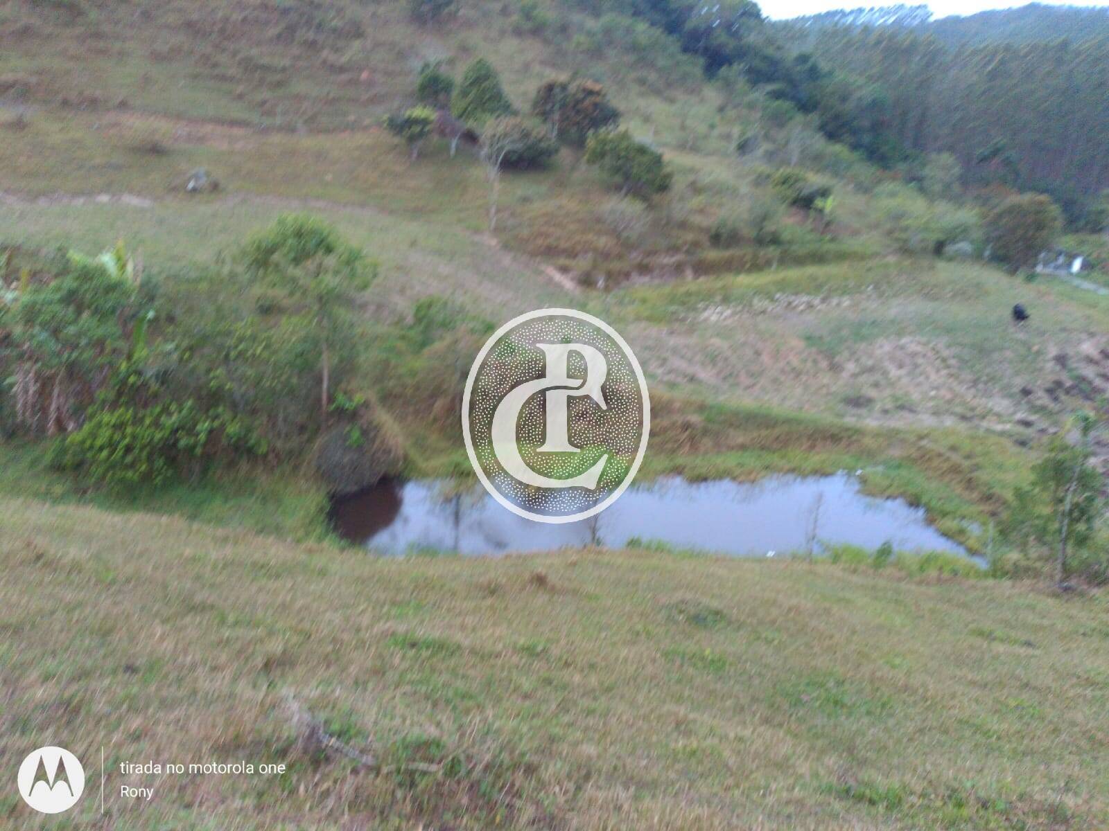 Fazenda-Sítio-Chácara, 73 hectares - Foto 4