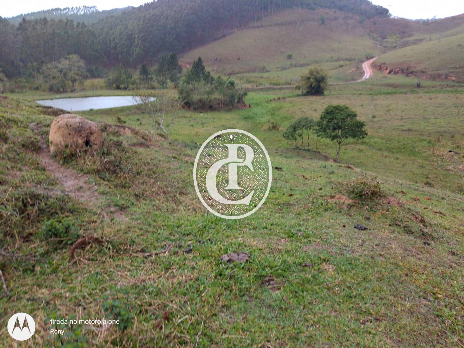 Fazenda-Sítio-Chácara, 73 hectares - Foto 1