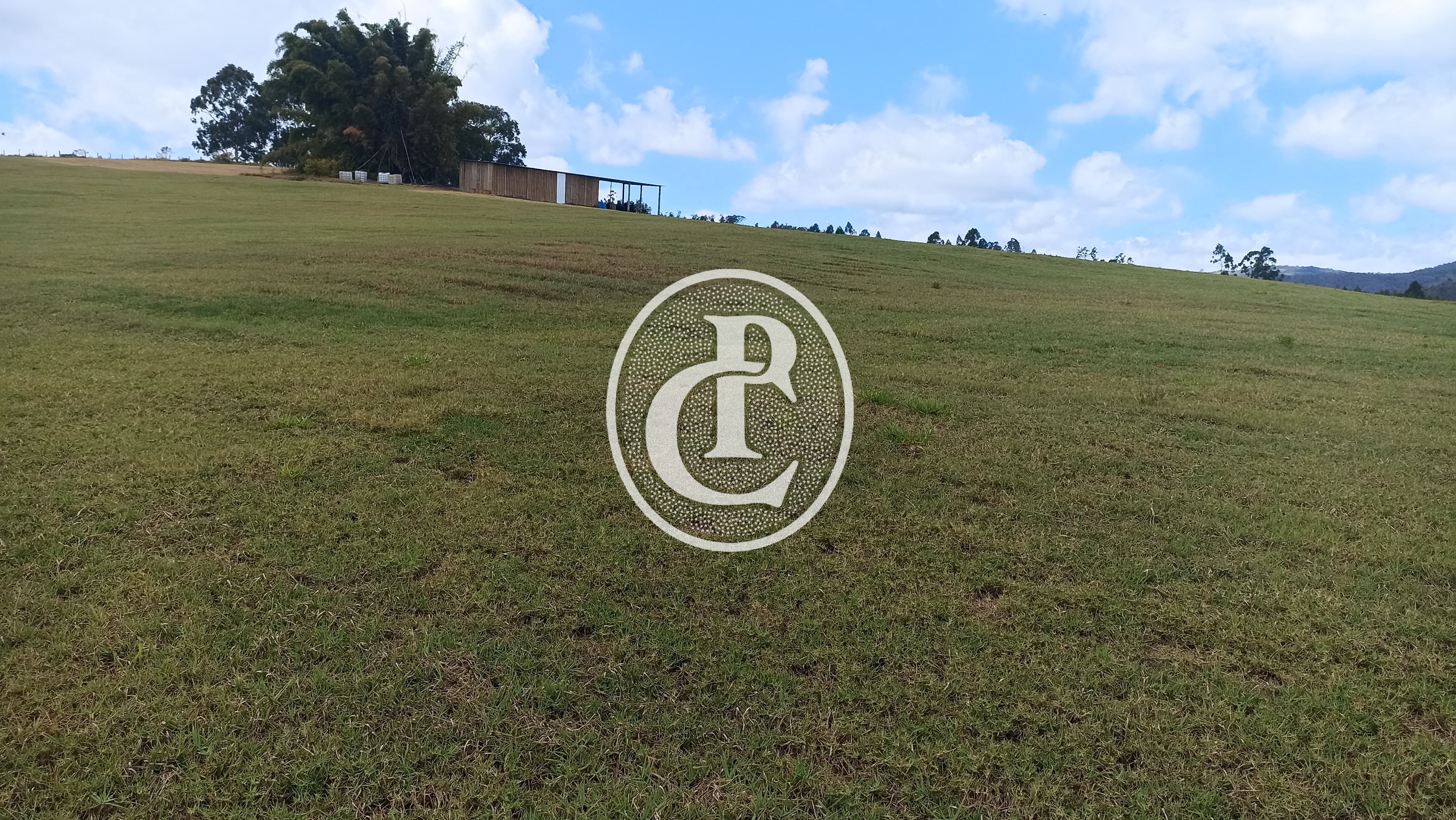 Terreno, 5 hectares - Foto 6