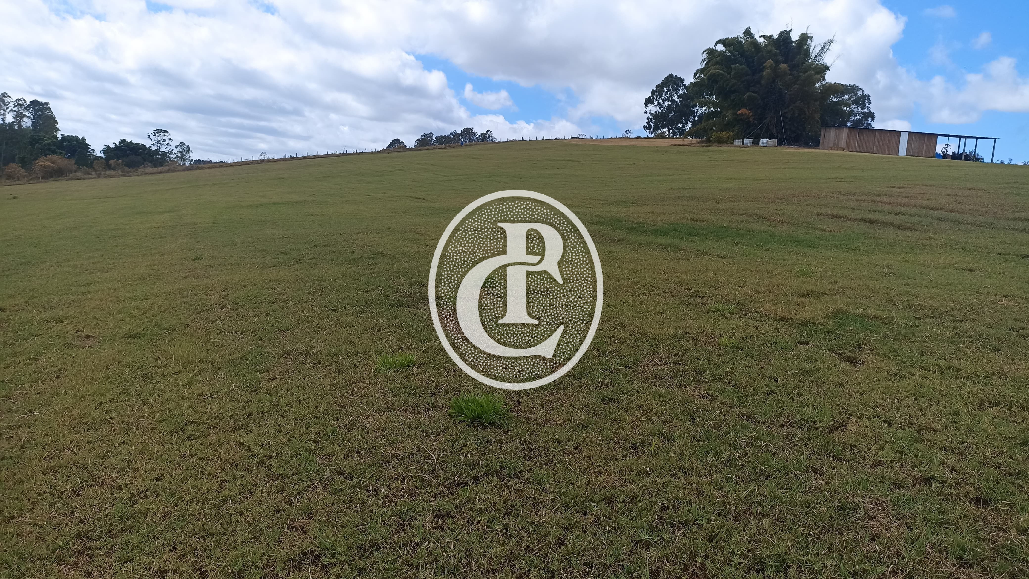 Terreno, 5 hectares - Foto 7