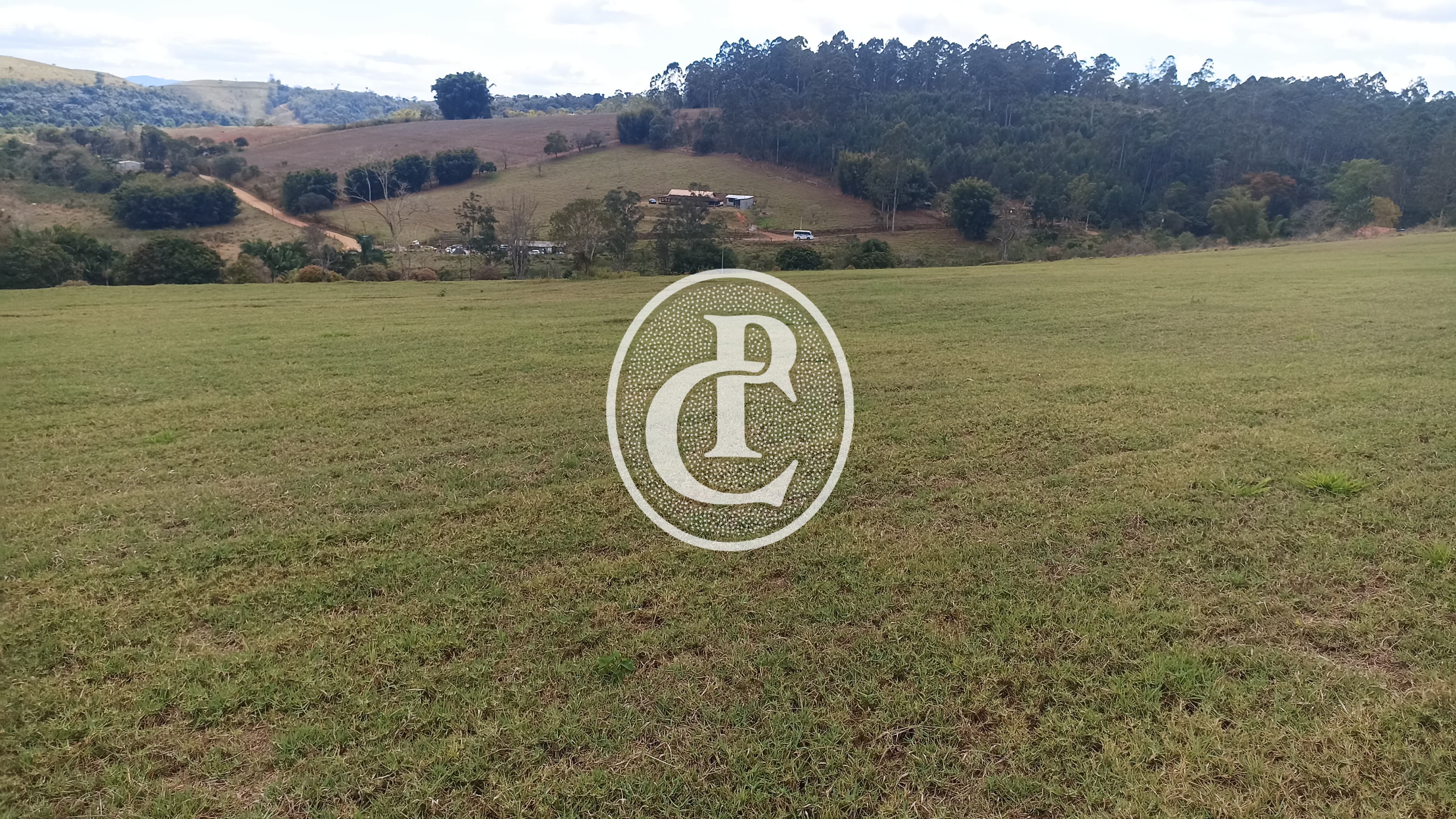 Terreno, 5 hectares - Foto 8