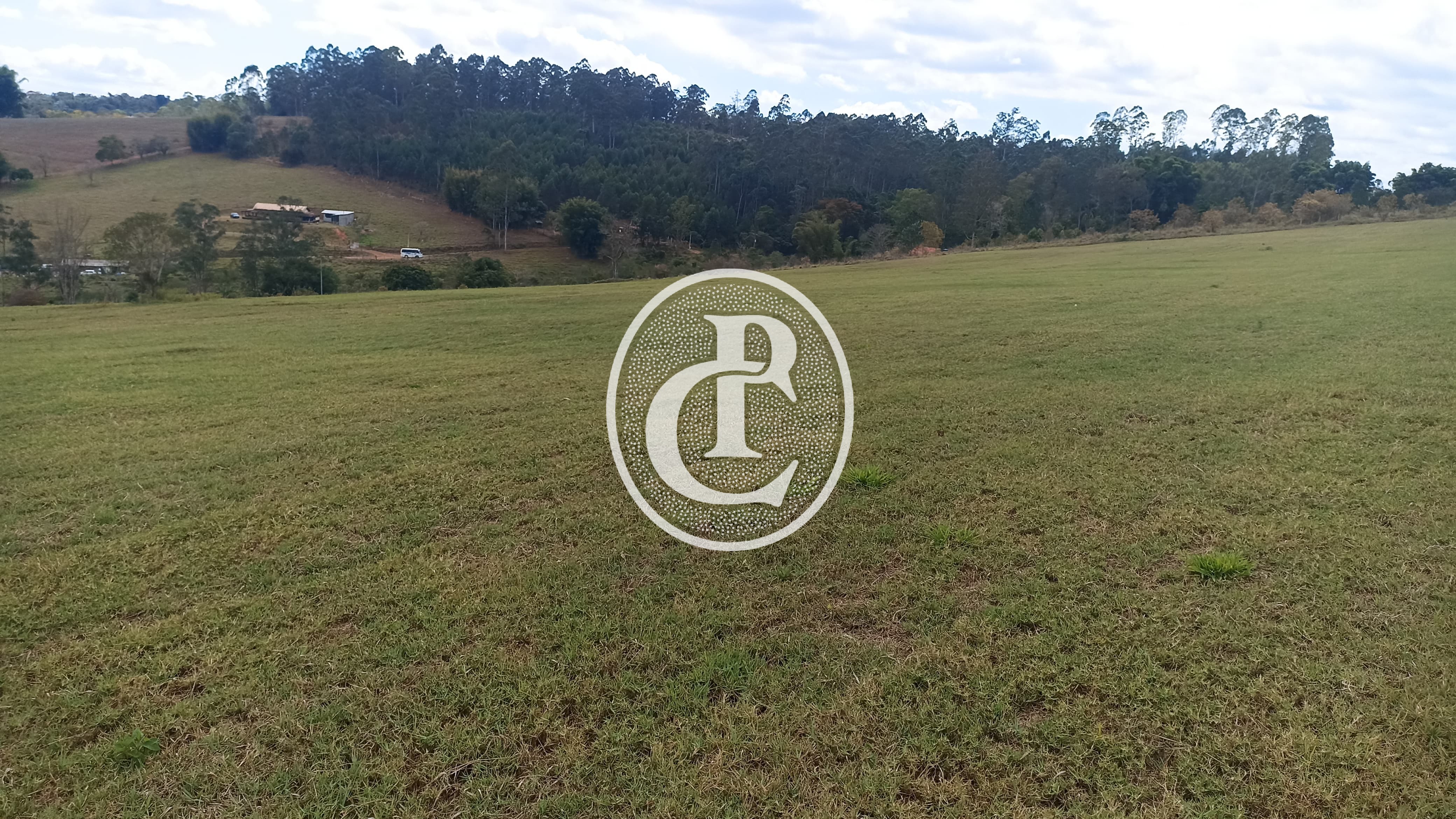 Terreno, 5 hectares - Foto 9