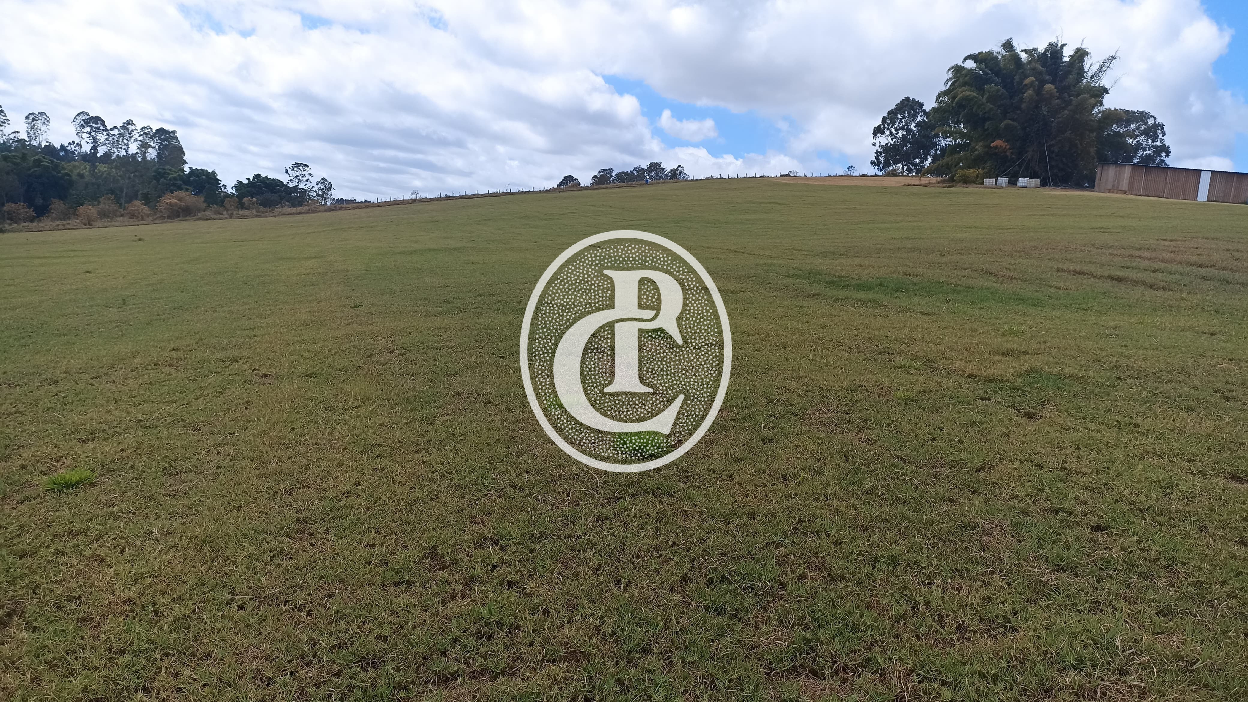 Terreno, 5 hectares - Foto 10