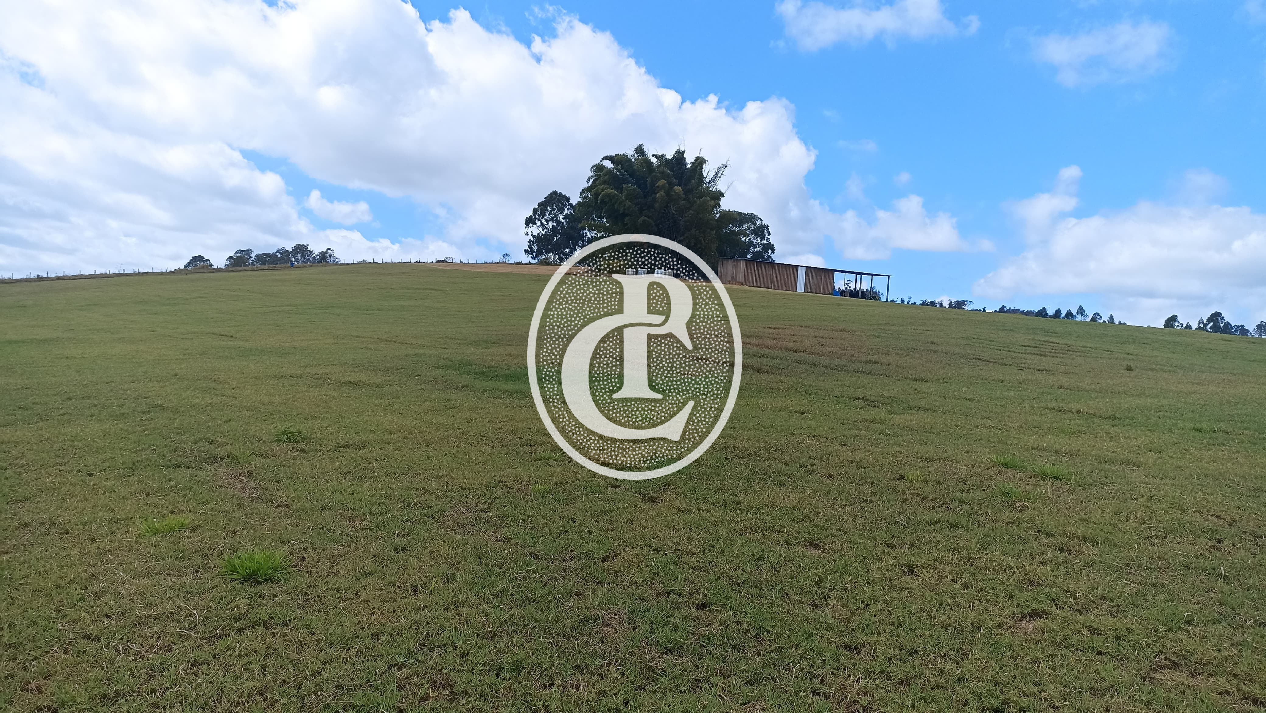 Terreno, 5 hectares - Foto 11