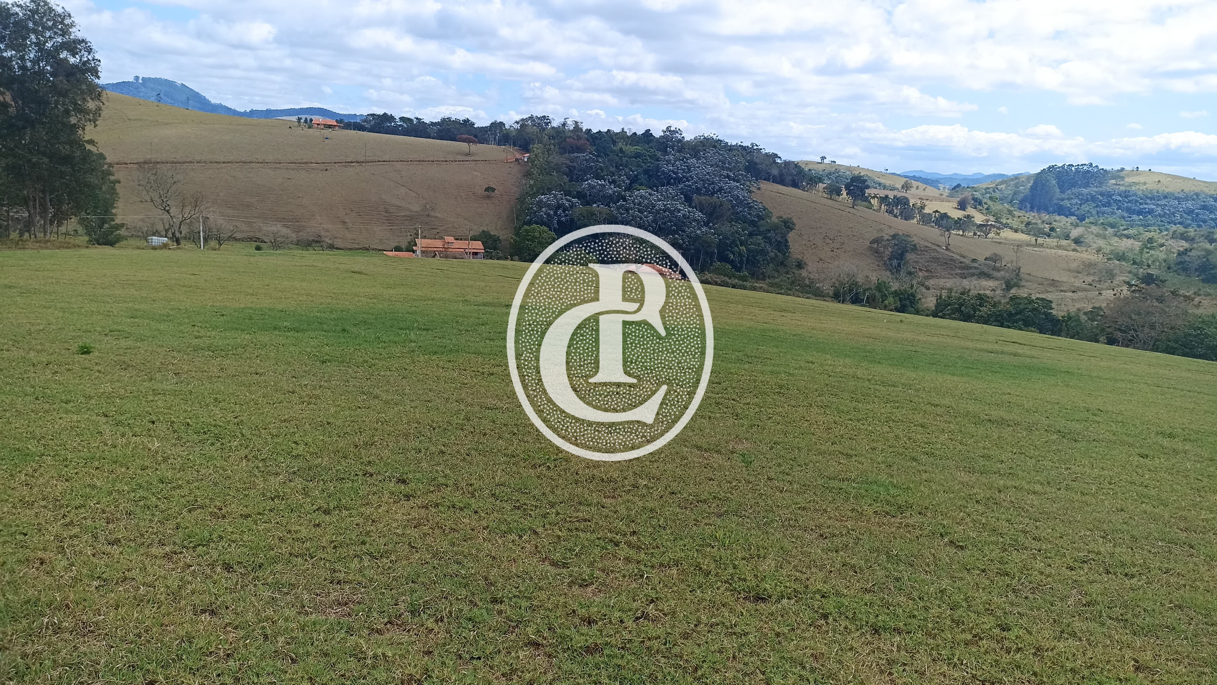 Terreno, 5 hectares - Foto 13