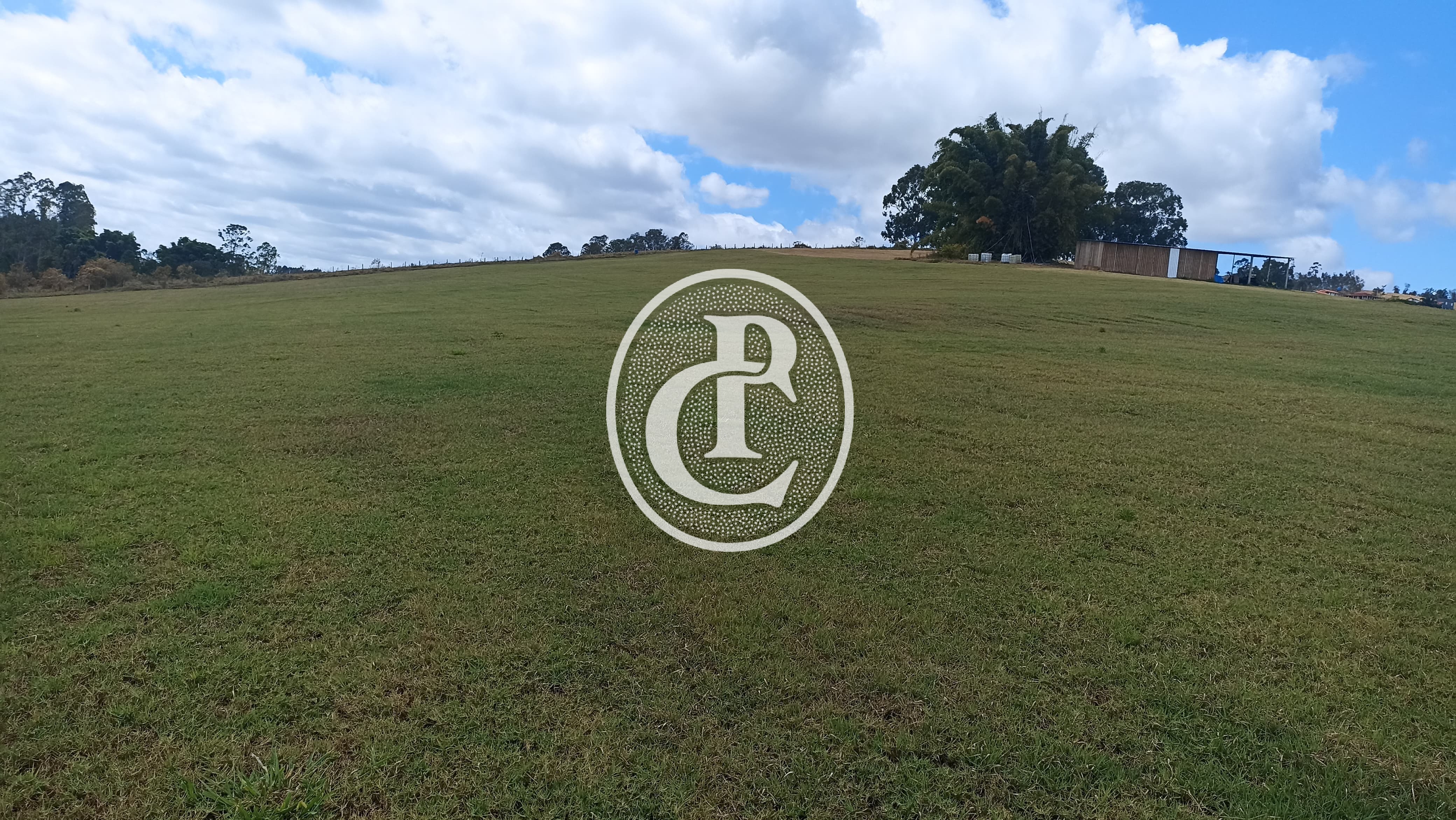 Terreno, 5 hectares - Foto 15