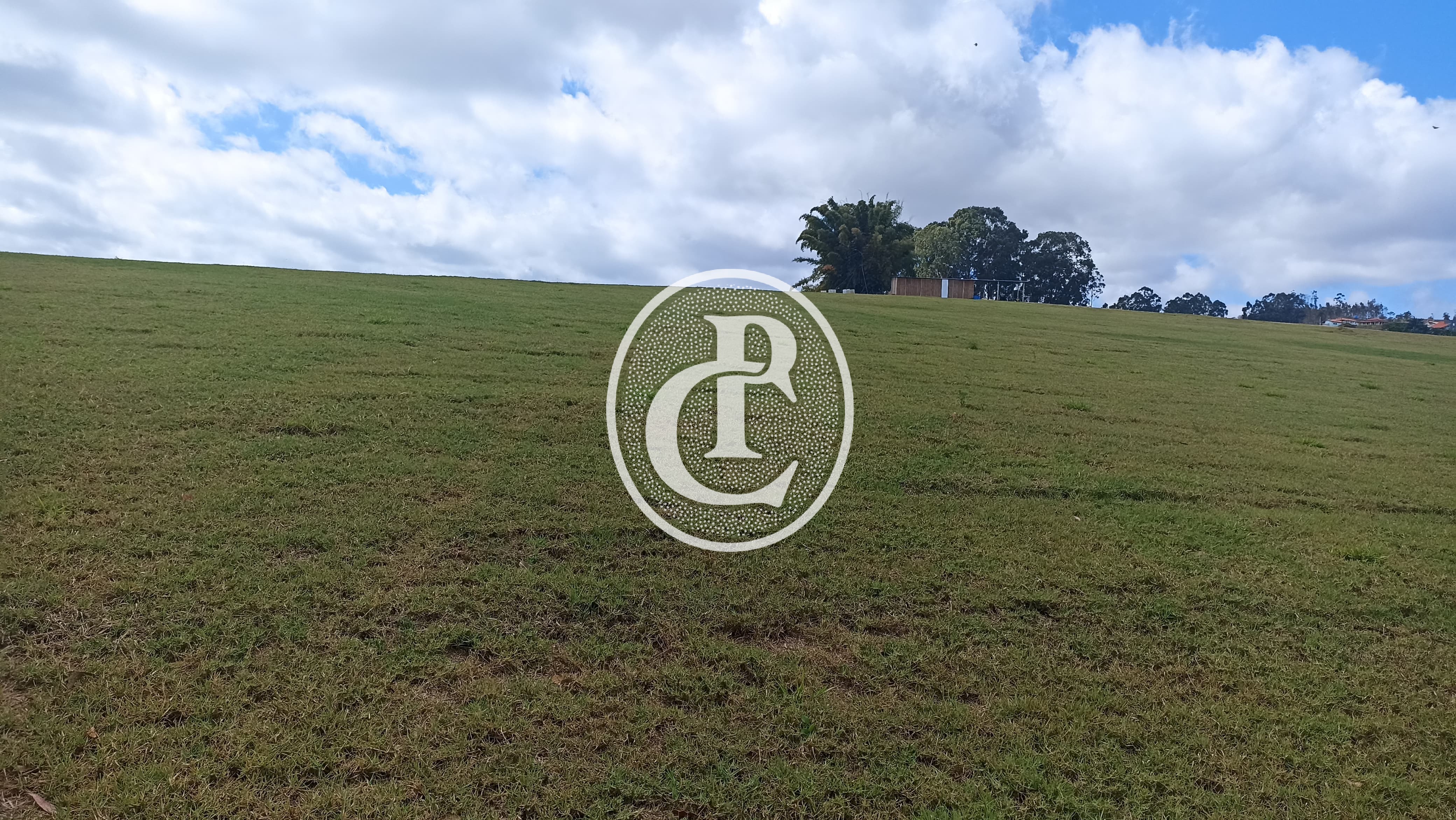 Terreno, 5 hectares - Foto 17