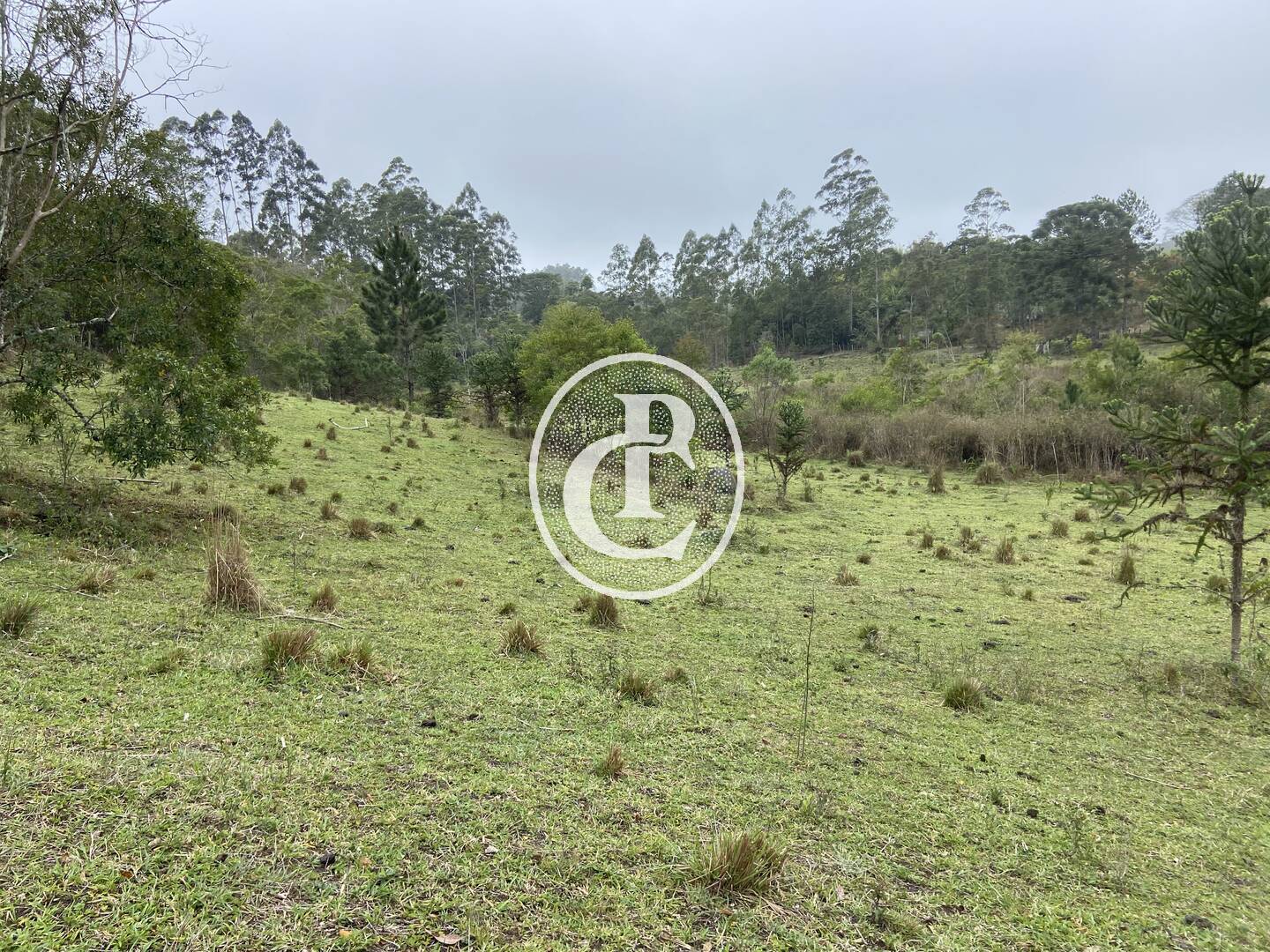 Sítio, 3 quartos, 36 hectares - Foto 4