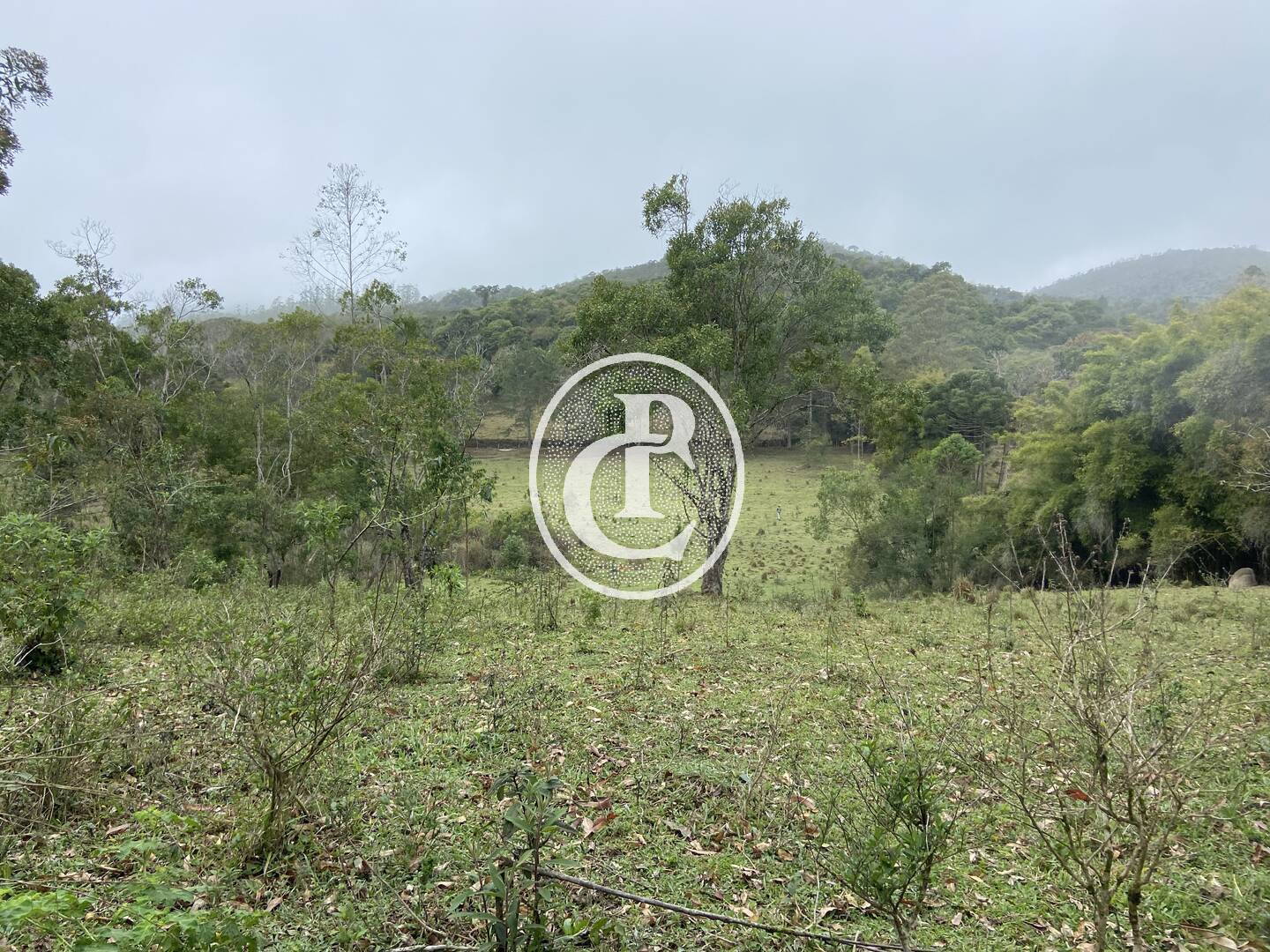 Sítio, 3 quartos, 36 hectares - Foto 7