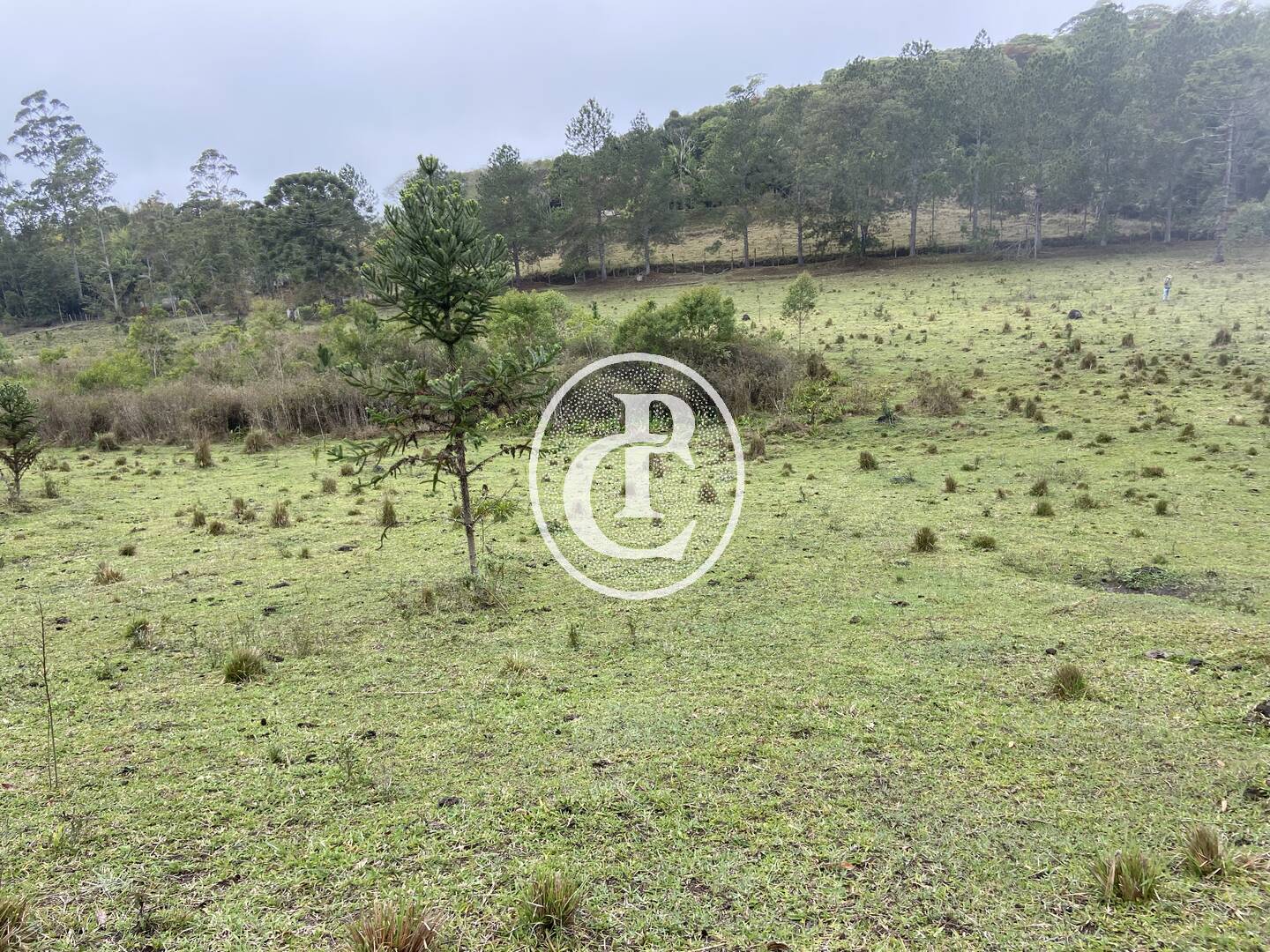 Sítio, 3 quartos, 36 hectares - Foto 2