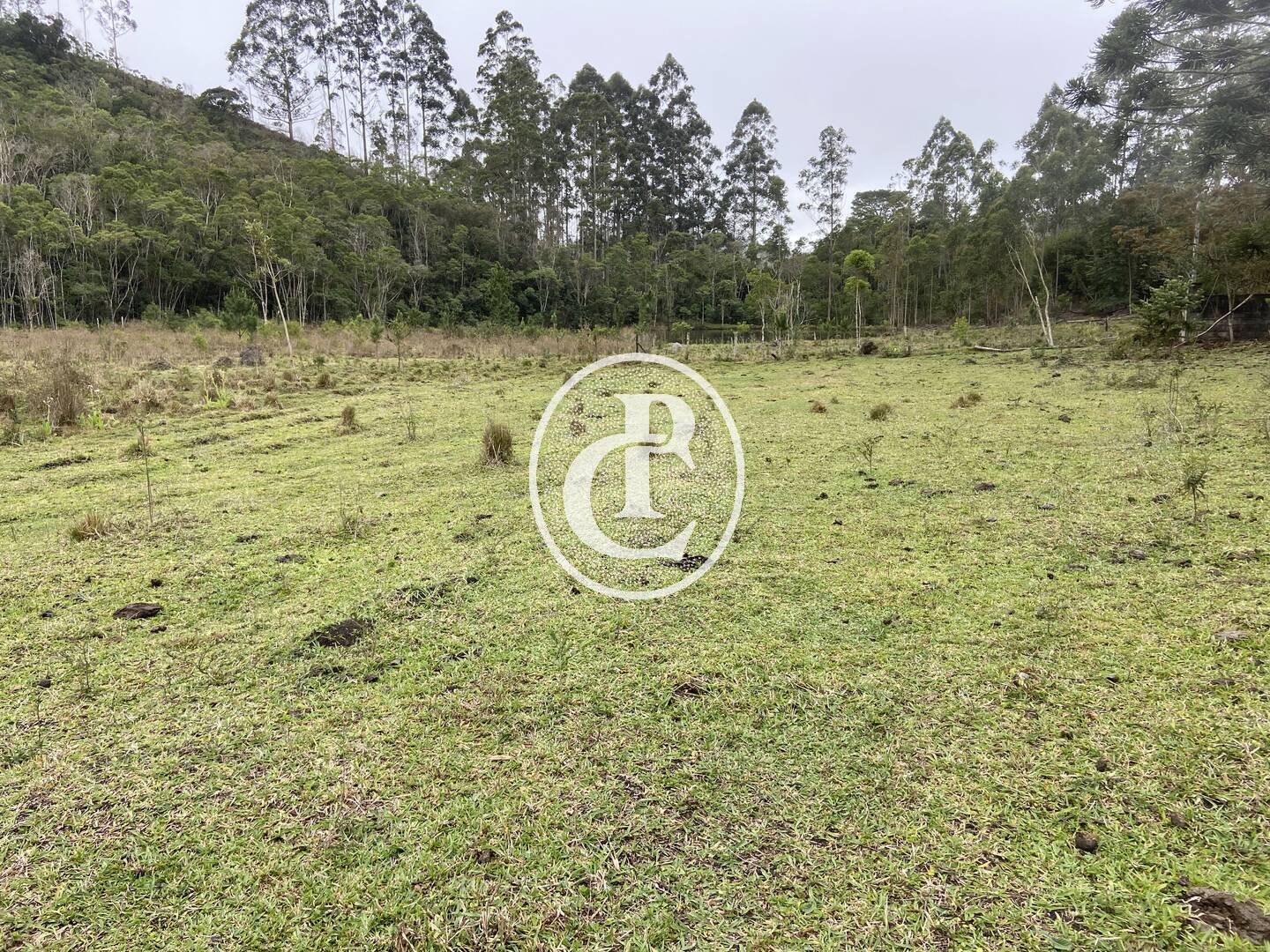 Sítio, 3 quartos, 36 hectares - Foto 12