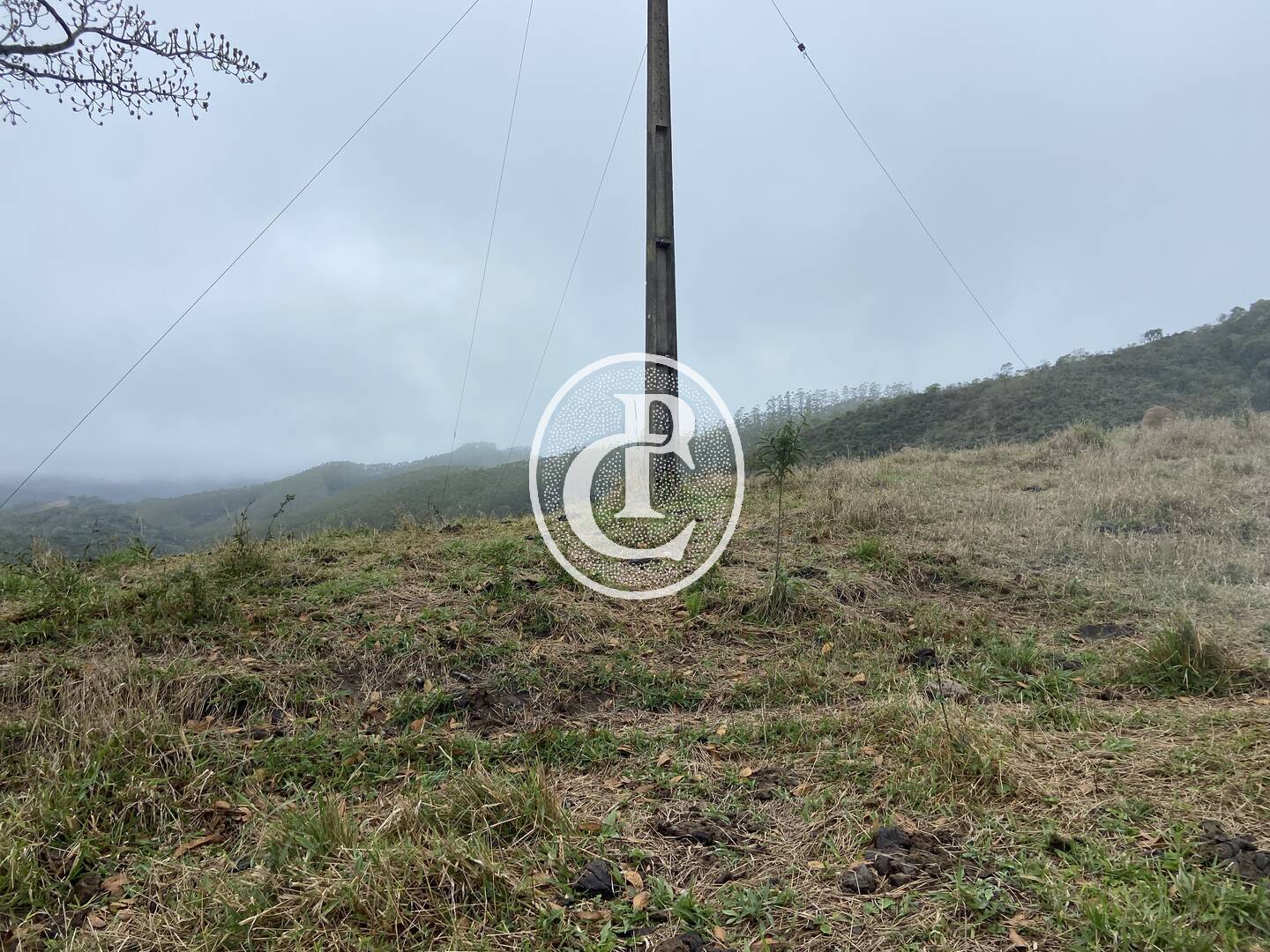 Sítio, 3 quartos, 36 hectares - Foto 15