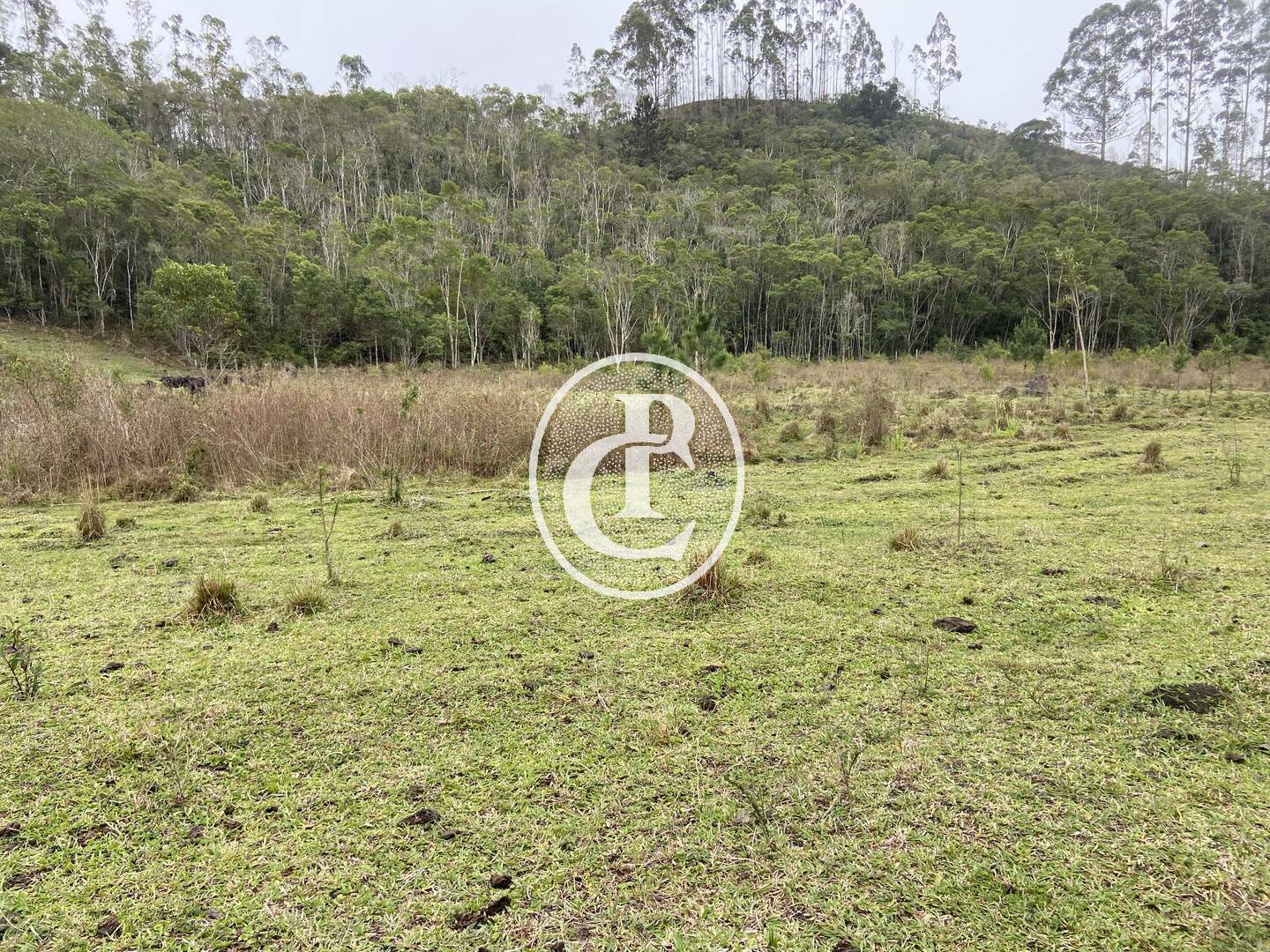 Sítio, 3 quartos, 36 hectares - Foto 19