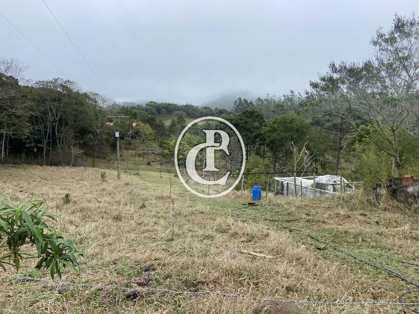 Sítio, 3 quartos, 36 hectares - Foto 29