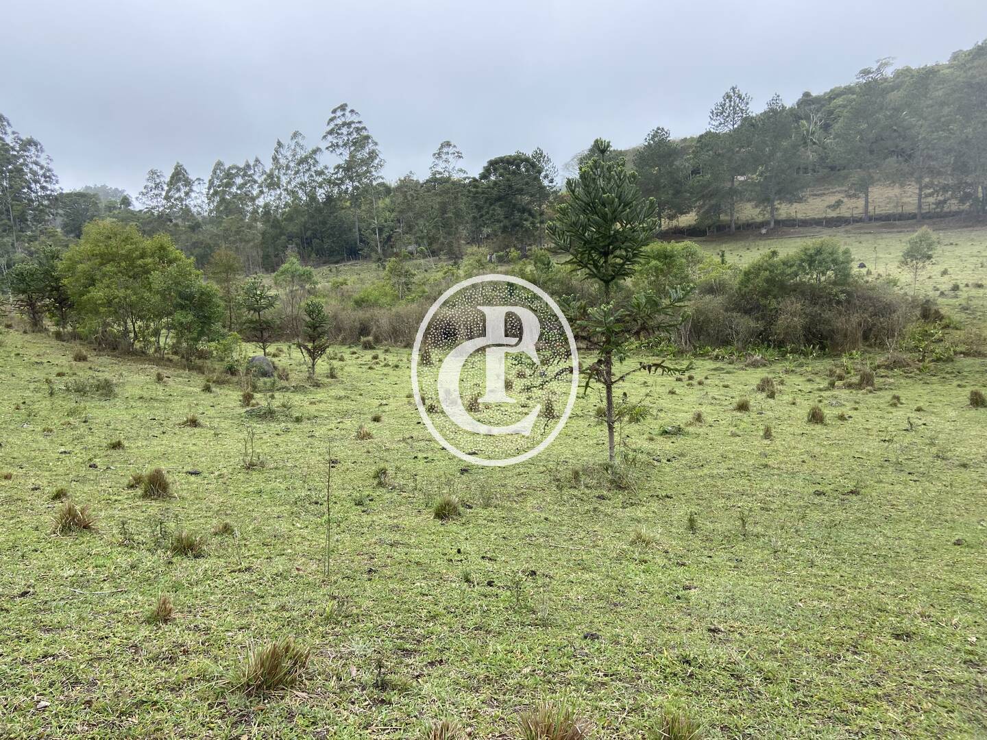 Sítio, 3 quartos, 36 hectares - Foto 31