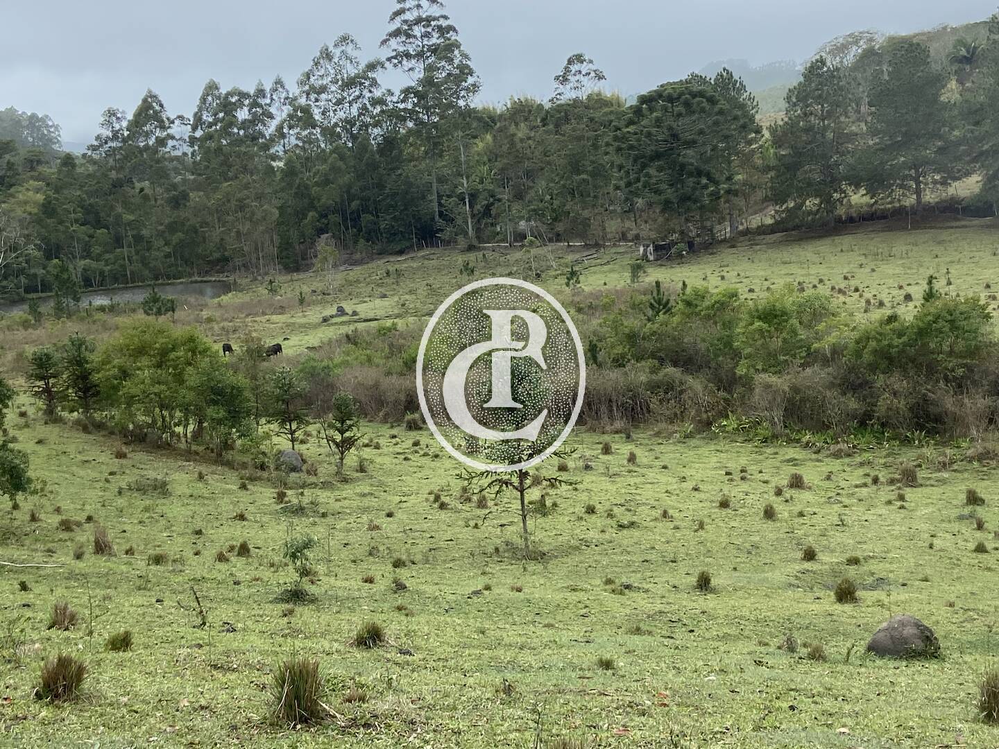 Sítio, 3 quartos, 36 hectares - Foto 33